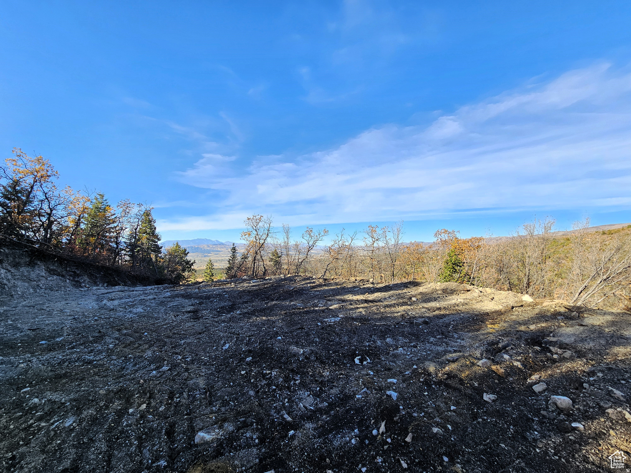 SKYLINE ACRES - Land