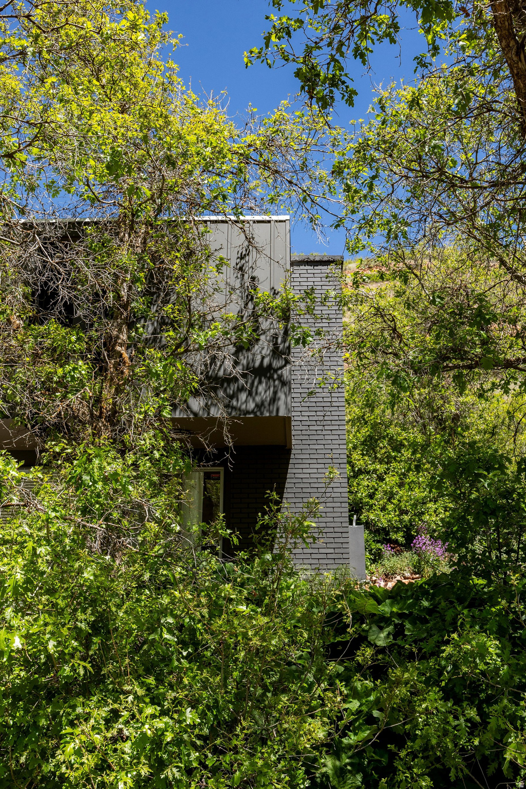 LITTLE MOUNT - Residential