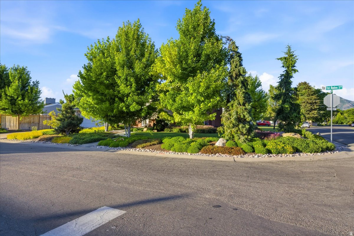 MEADOWS - Residential