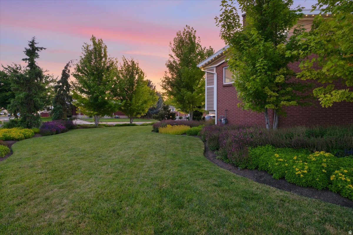 MEADOWS - Residential