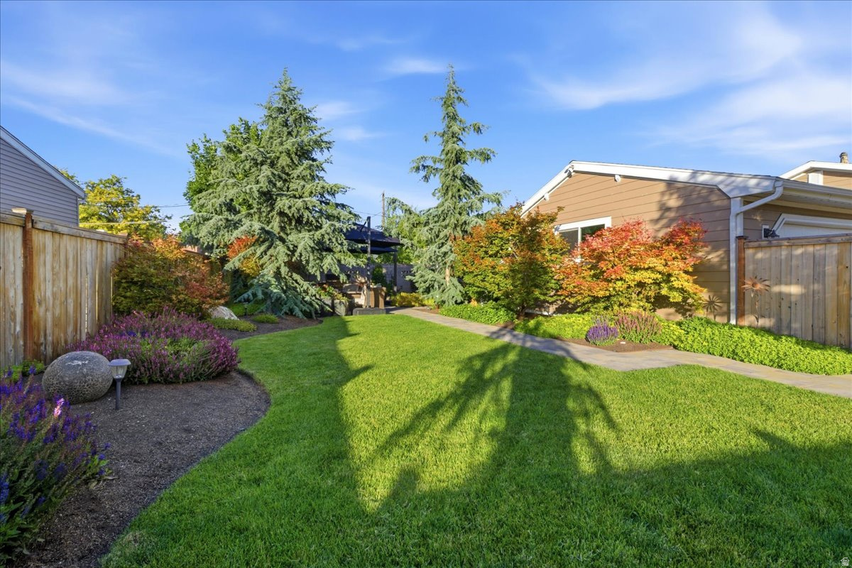 MEADOWS - Residential