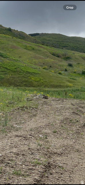 ROCK LOFT RIDGE ESTATES - Land