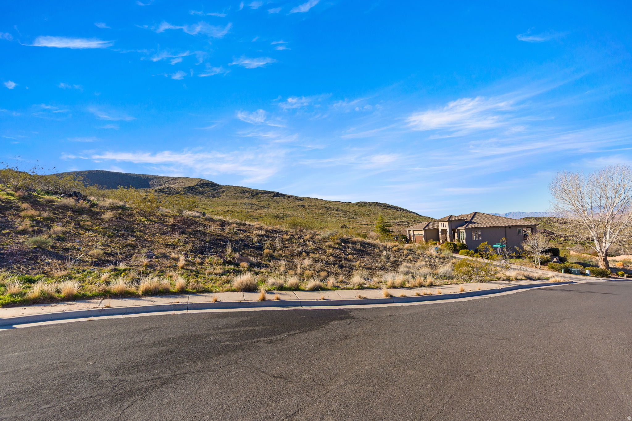 PAINTED HILLS 1 RLINGTON HEIGHTS - Land