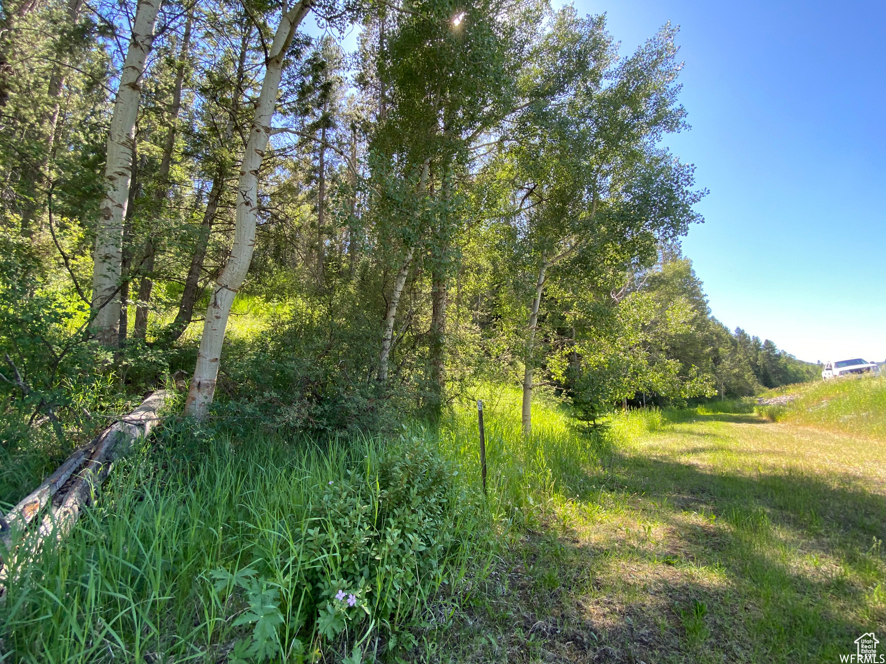 GROUSE CREEK RANCH - Land