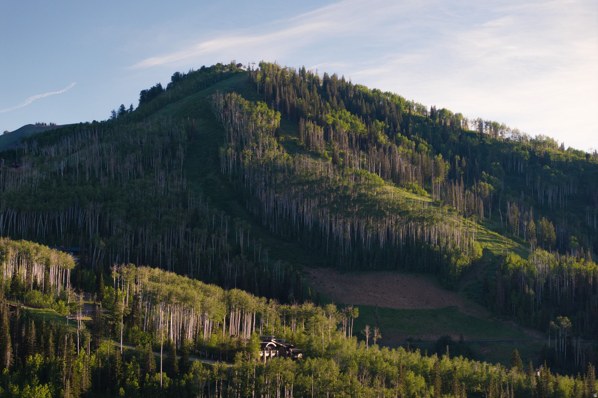 COLONY AT WHITE PINE - Residential