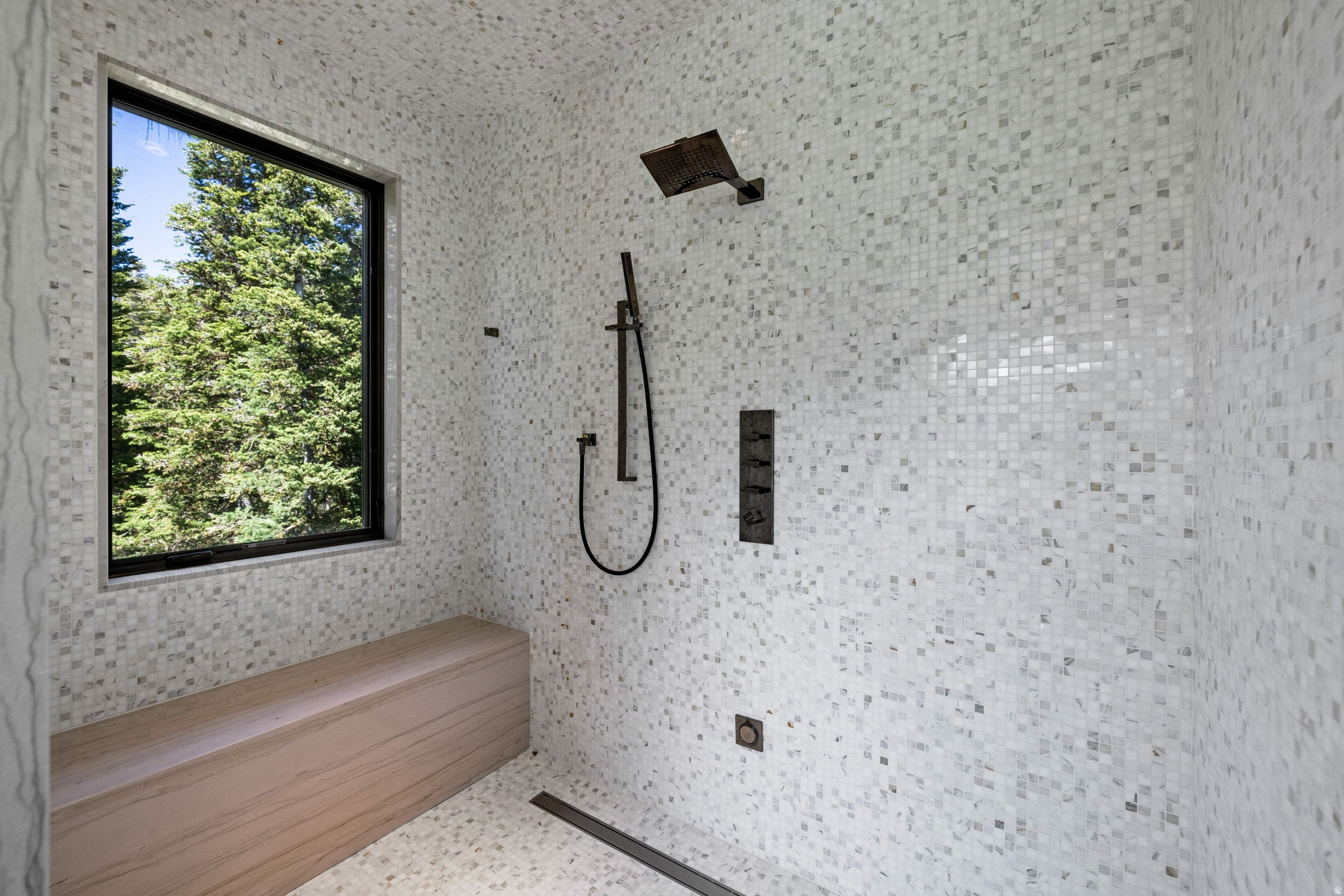 COLONY AT WHITE PINE - Residential