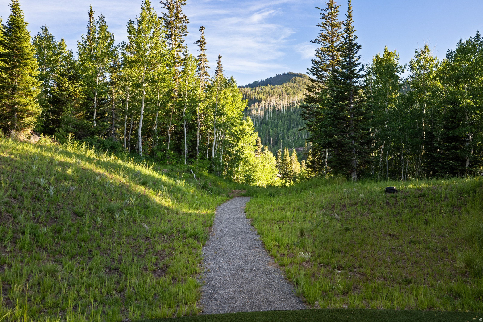 COLONY AT WHITE PINE - Residential