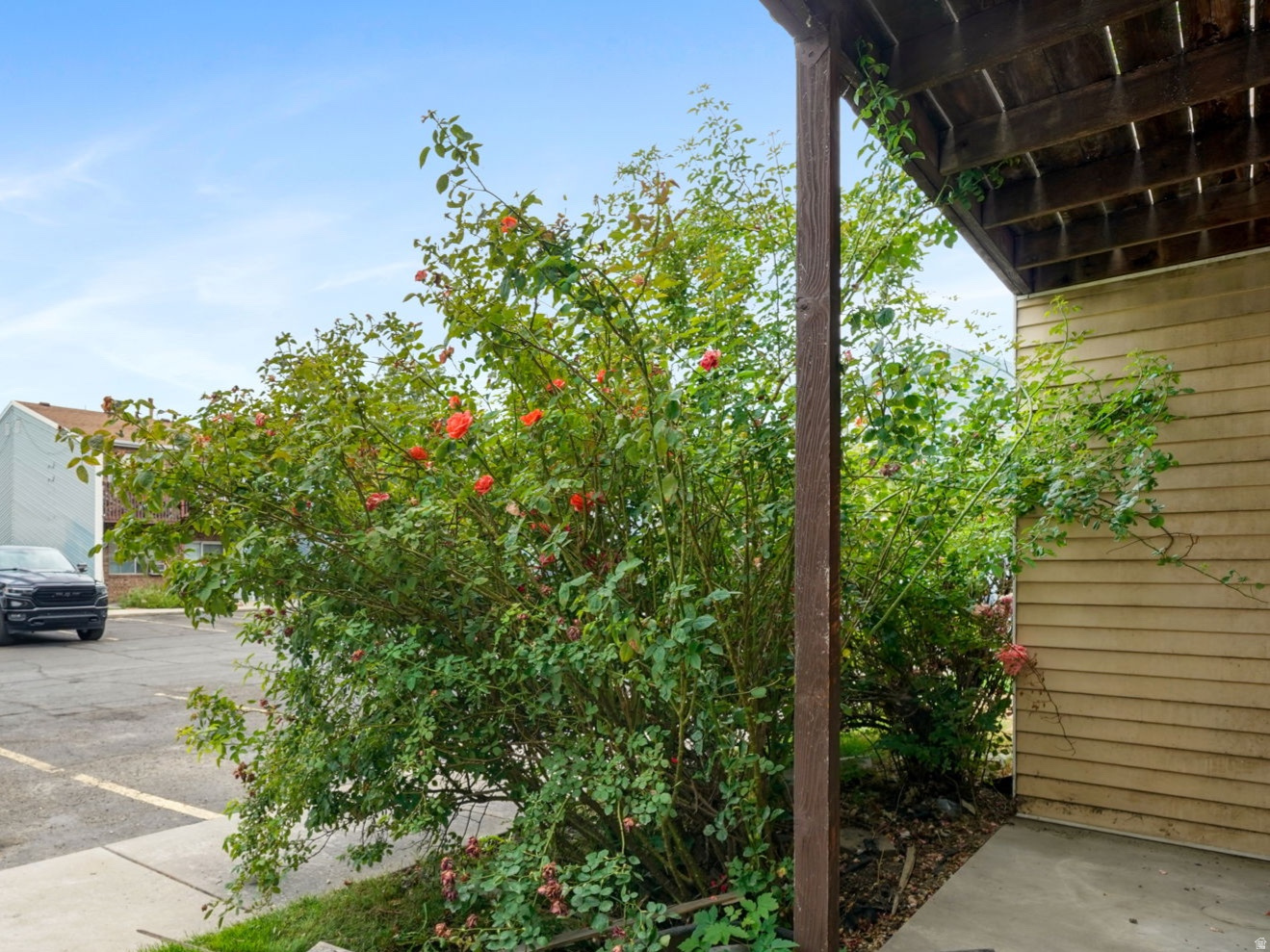 MADISON PARK - Residential