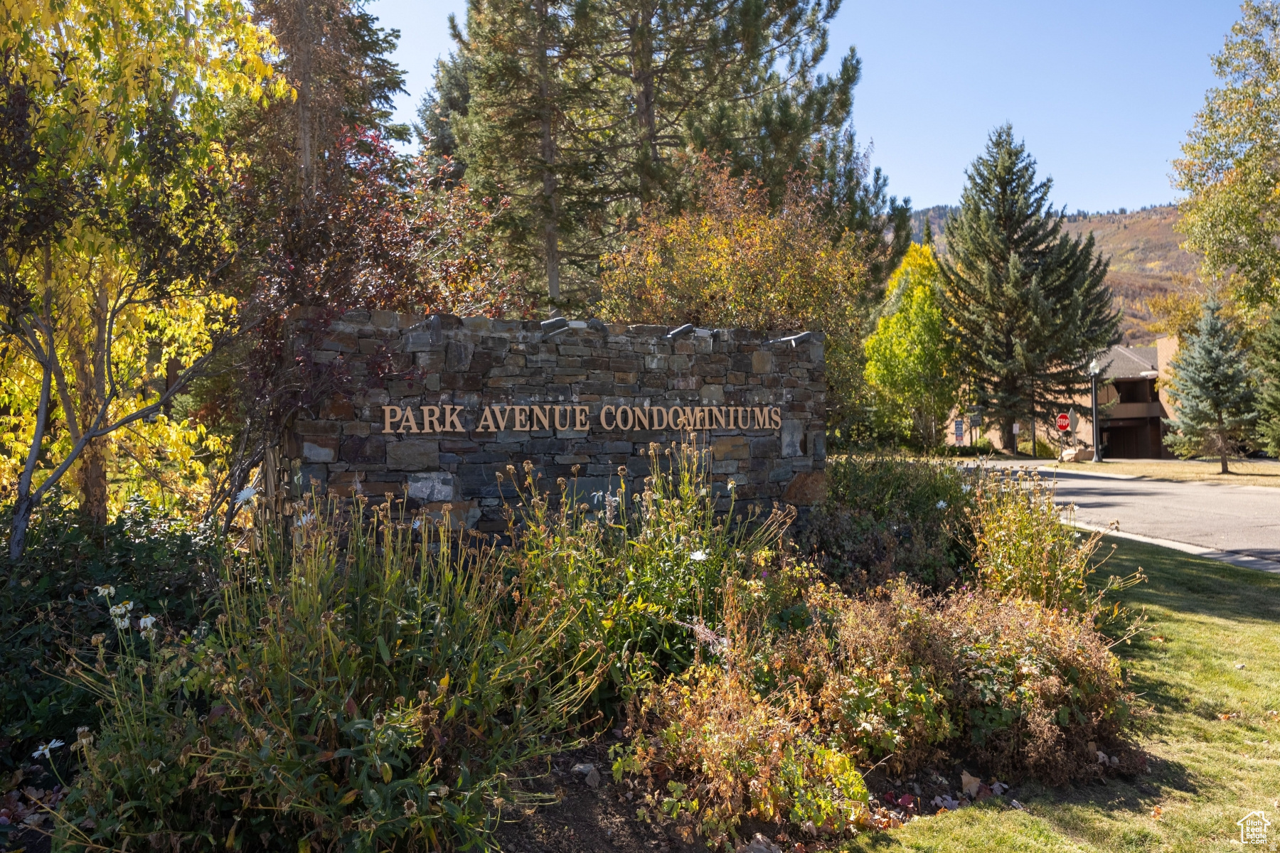 PARK AVENUE CONDOMINIUMS - Residential