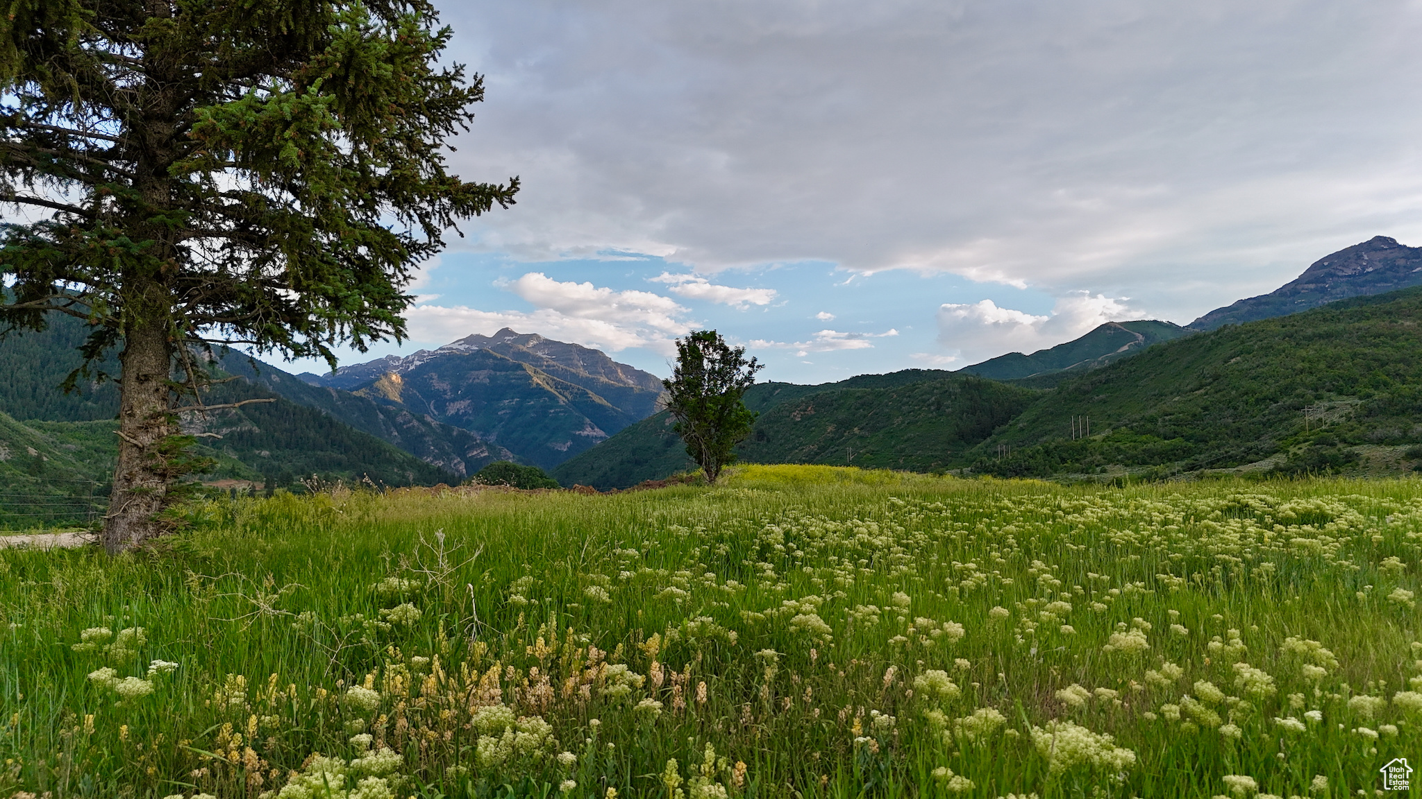 CANYON MEADOWS - Land