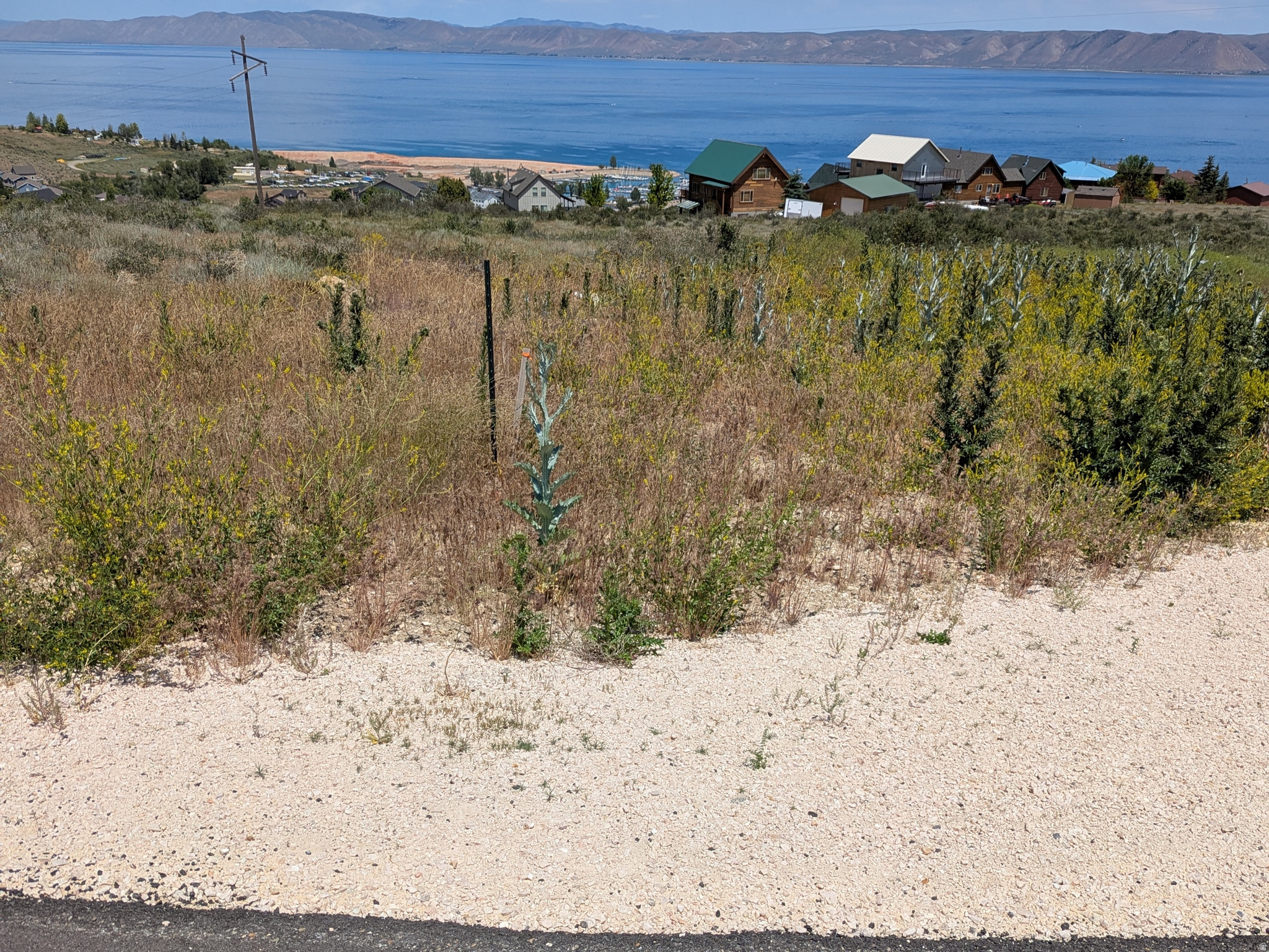 LAKE VIEW AT BEAR LAKE - Land