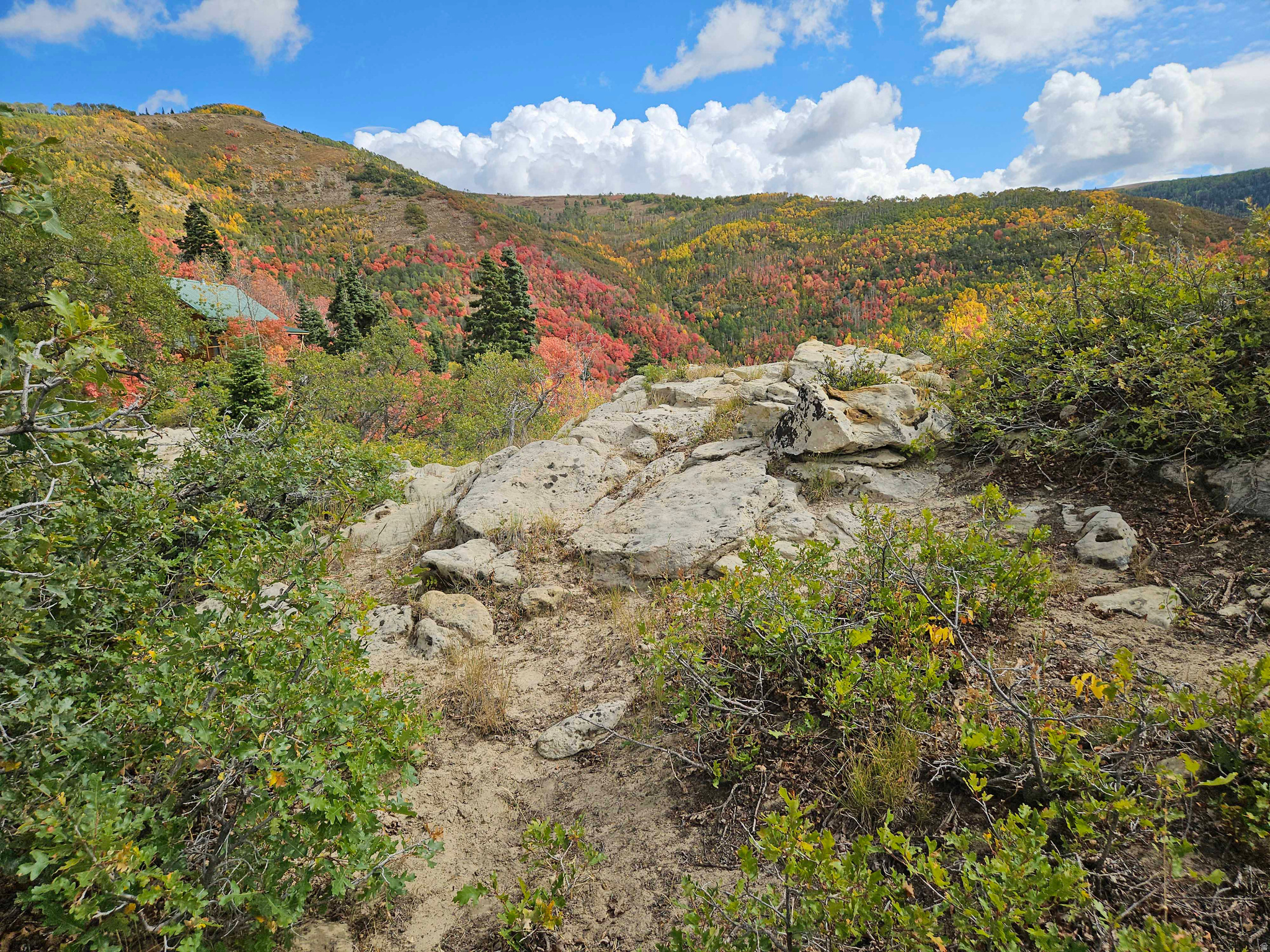SKYLINE MTN RESORT - Land