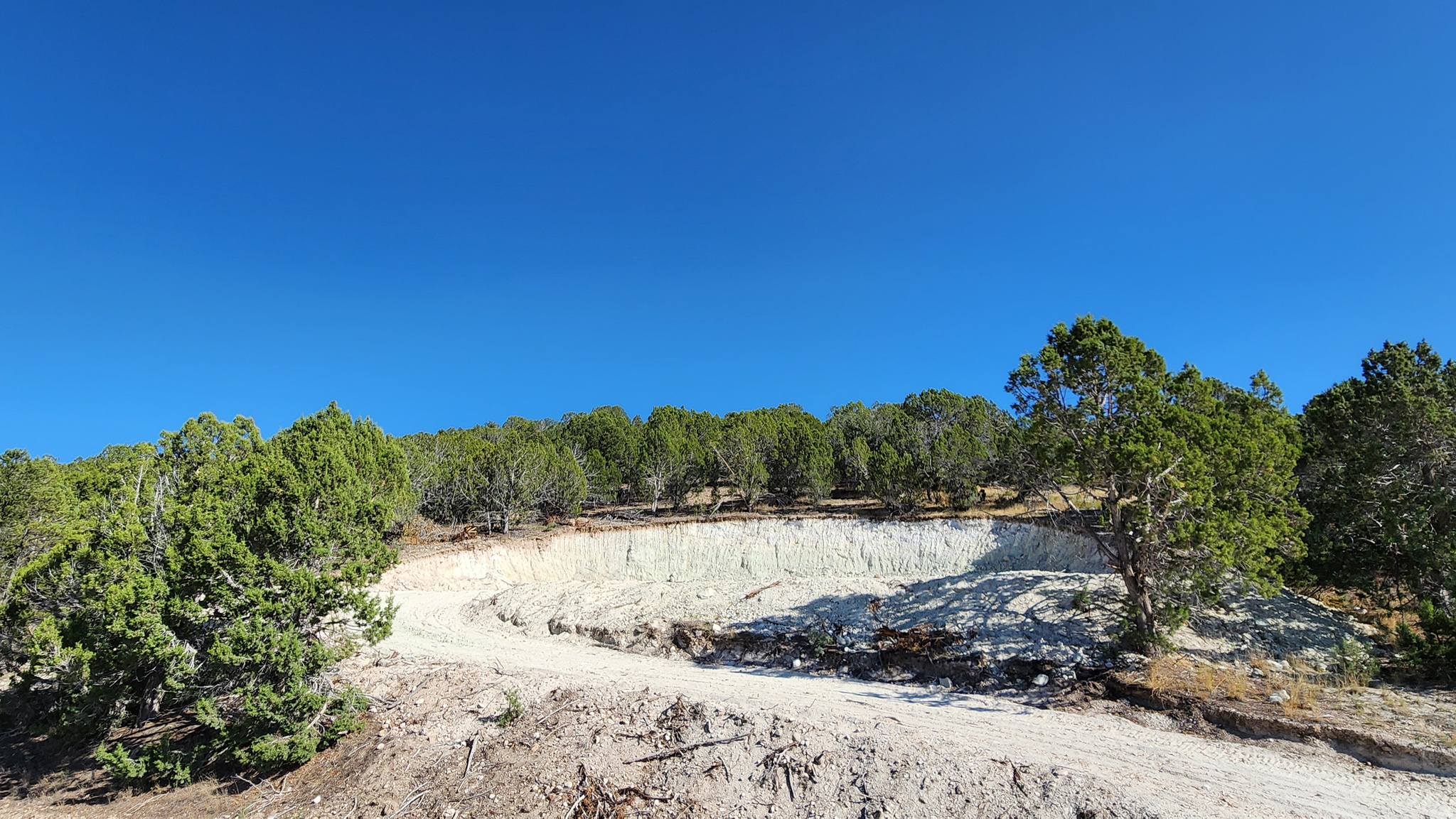 Build your dream home, cabin, or short-term rental on this beautiful 1.01-acre forested lot in Blackhawk Mountain Estates. Access to 1.2M acres of forest land.  Swimming lake under construction.  Community trails.  New and upscale mountain community with quick highway access.  Road paving under construction from Highway in.  Live. Play. Escape. Ready to build now? Ask about Lux Home Builder incentives! Information provided is deemed reliable, but should be independently verified by any interested party.
