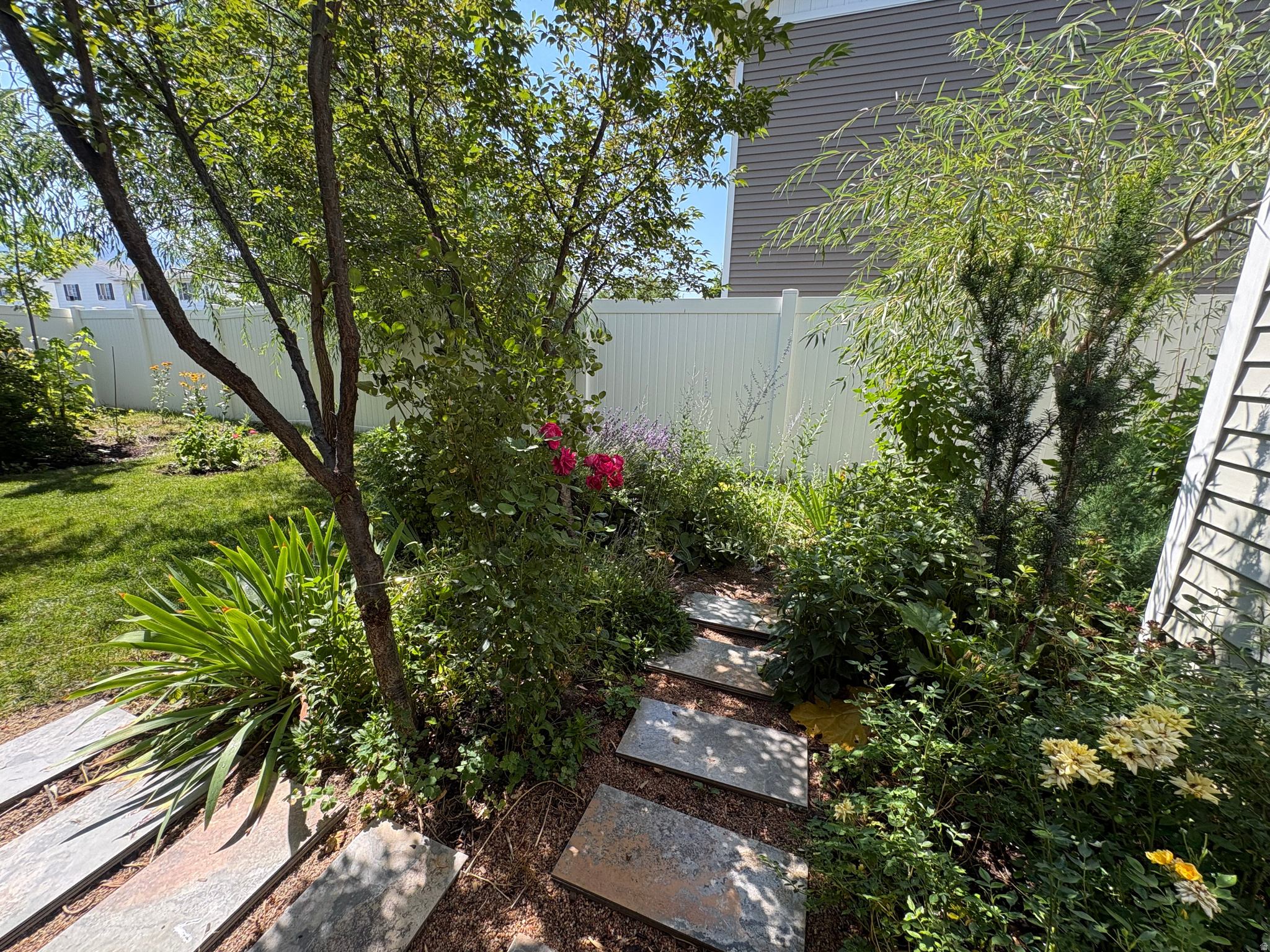 ASHBURY COURT - Residential