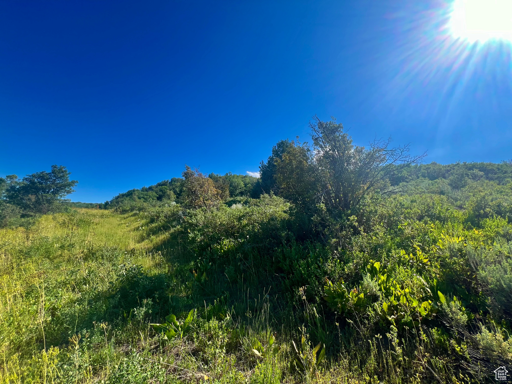 LEGACY MOUNTAIN - Land