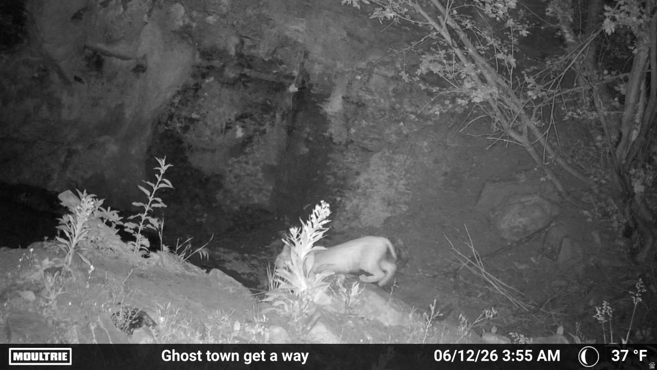 TOUCAN TRAILS 2 AT ELKHORN SPRINGS - Land