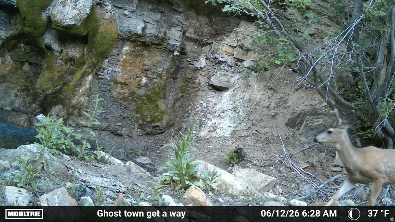 TOUCAN TRAILS 2 AT ELKHORN SPRINGS - Land