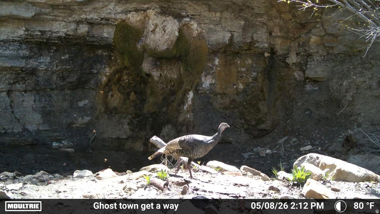 TOUCAN TRAILS 2 AT ELKHORN SPRINGS - Land