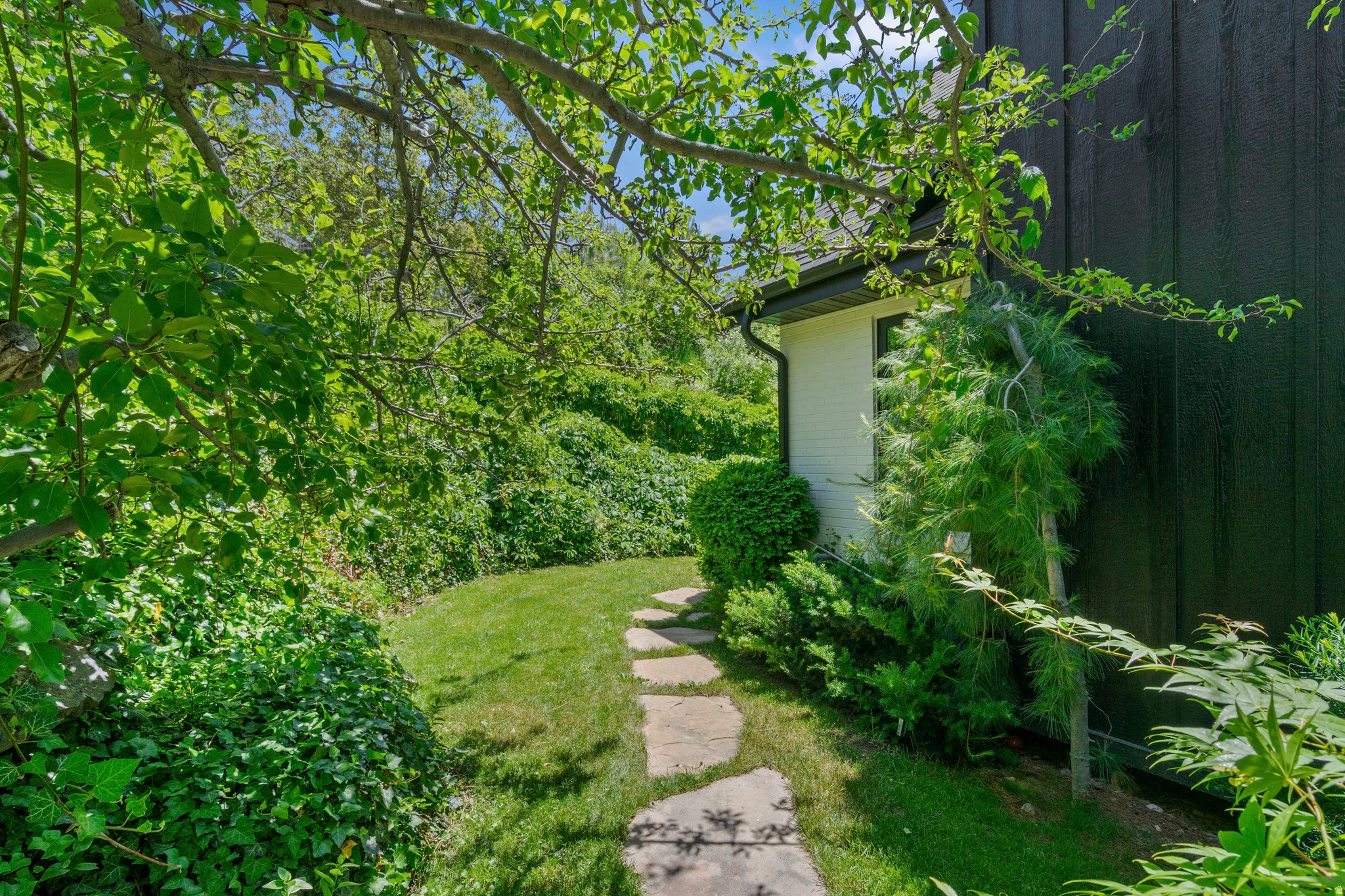 MAPLE COVE - Residential