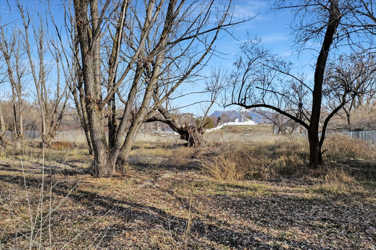 SHELTON ESTATES, PLAT A - Land
