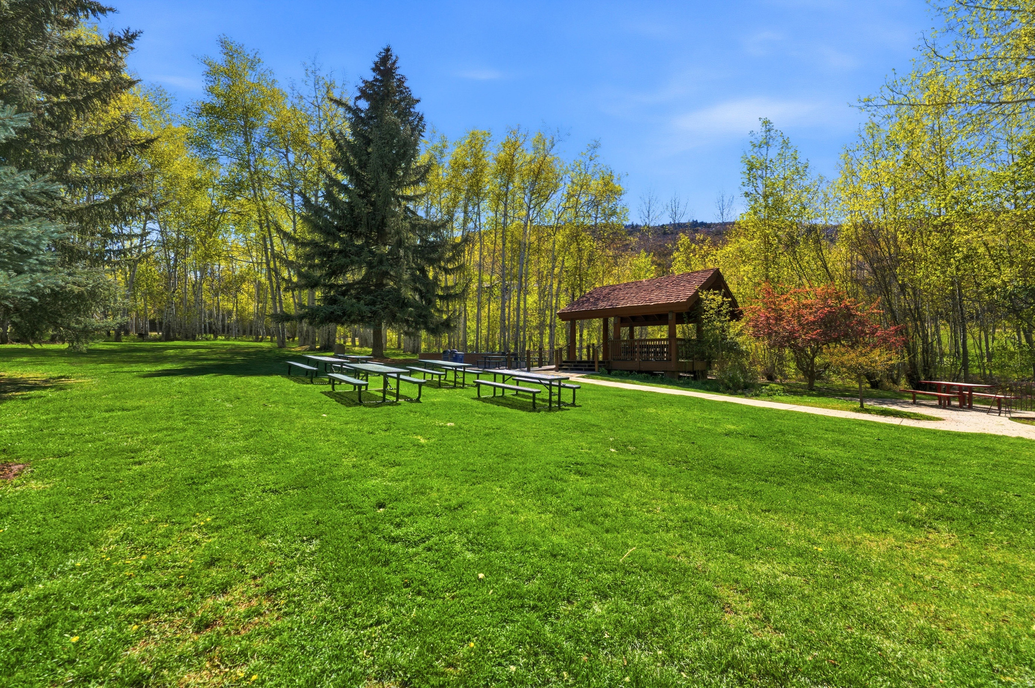 THAYNES CANYON SMALL, SUBDIVISION - Residential