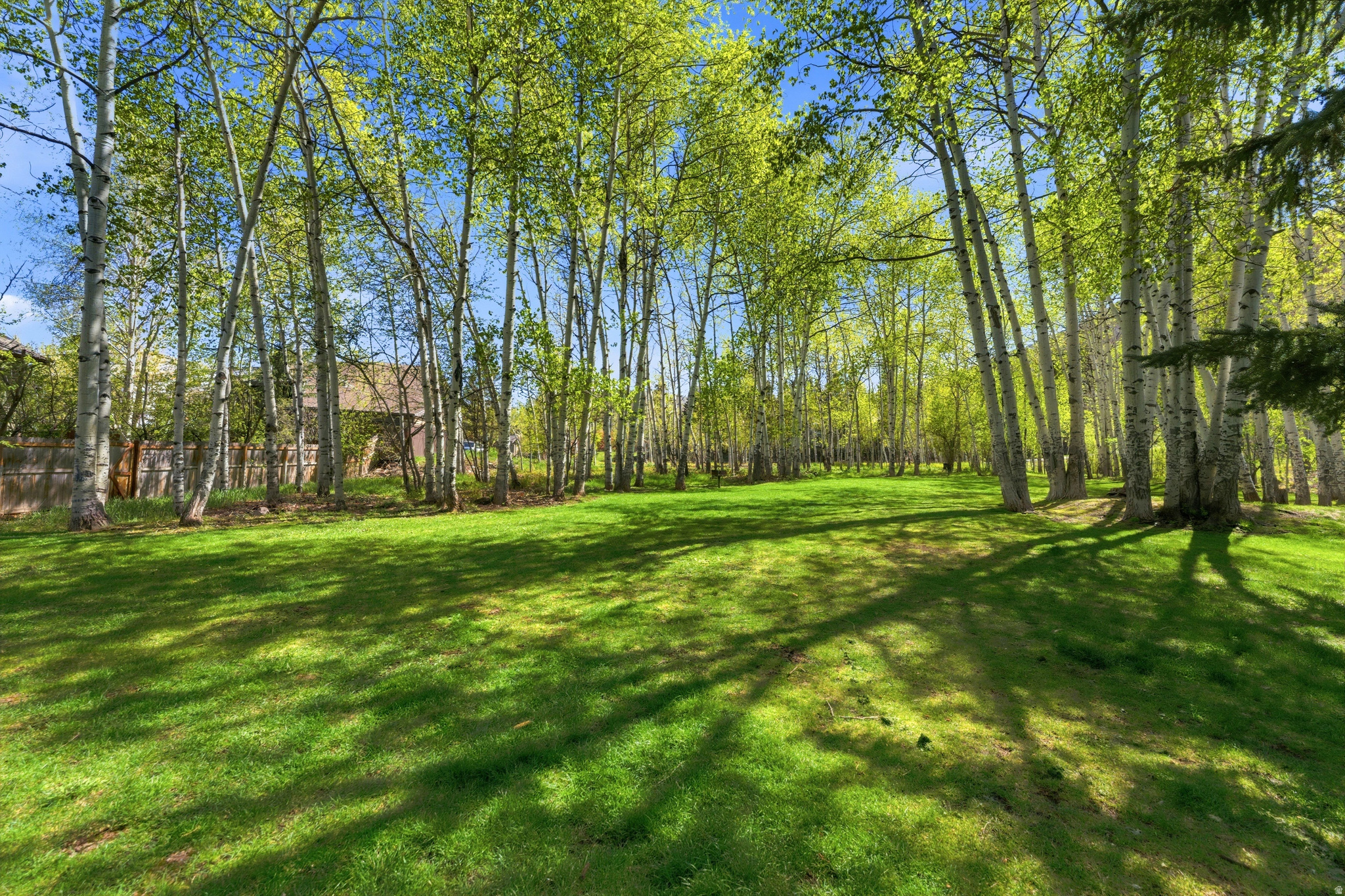 THAYNES CANYON SMALL, SUBDIVISION - Residential