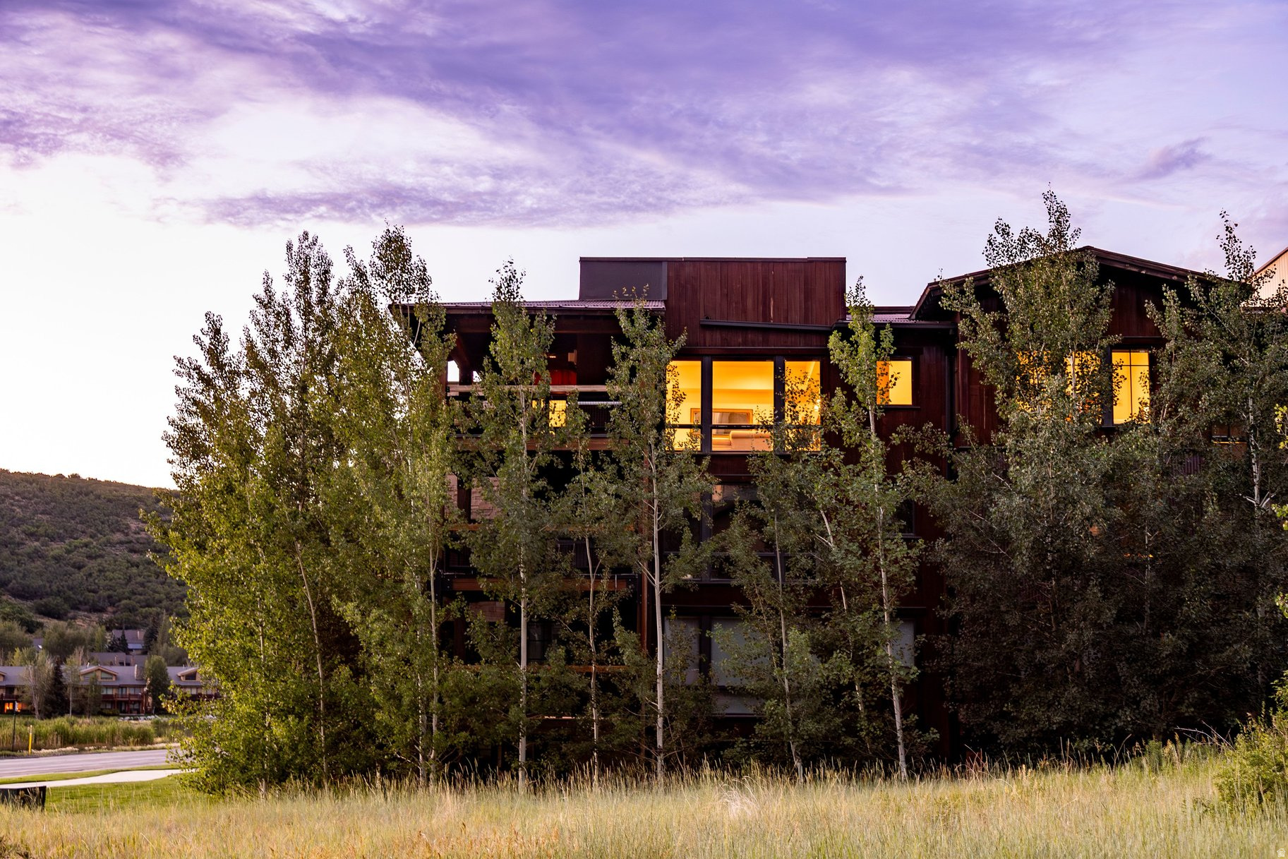 SILVER BARON - Residential