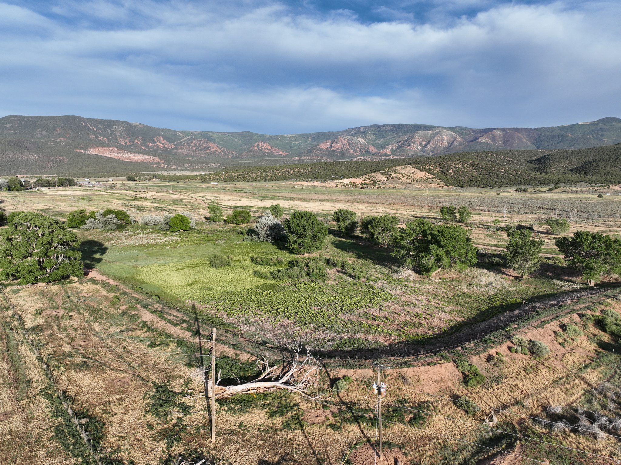 This 194 Acre Family Estate Property is one of the most exquisite properties to come available in Southern Utah! Includes 165 AF Water Rights. A buyer with incredible vision is presented tremendous opportunity for development and/or community projects as a result of its proximity to the current growth pattern. The ideal and convenient location, established paved road along Westview Drive, and the necessary nearby utilities, presents an ideal chance to create something unique and unlike anything else whether Commercial, Residential, or a Resort/Golf Course Community. With such astounding surroundings, this property allows one to really dream BIG and to act upon that dream with much creativity, investment, and resourcefulness. Minutes from I-15. Buyer is responsible to verify all information. Private Remarks: Property is currently in lease and notice needs to be provided to listing agent prior to showings.  Tax Parcel # 0144326 is also included in this sale.  Parcel Numbers: D-1044-0001-0000 & D-1032-1033-0000