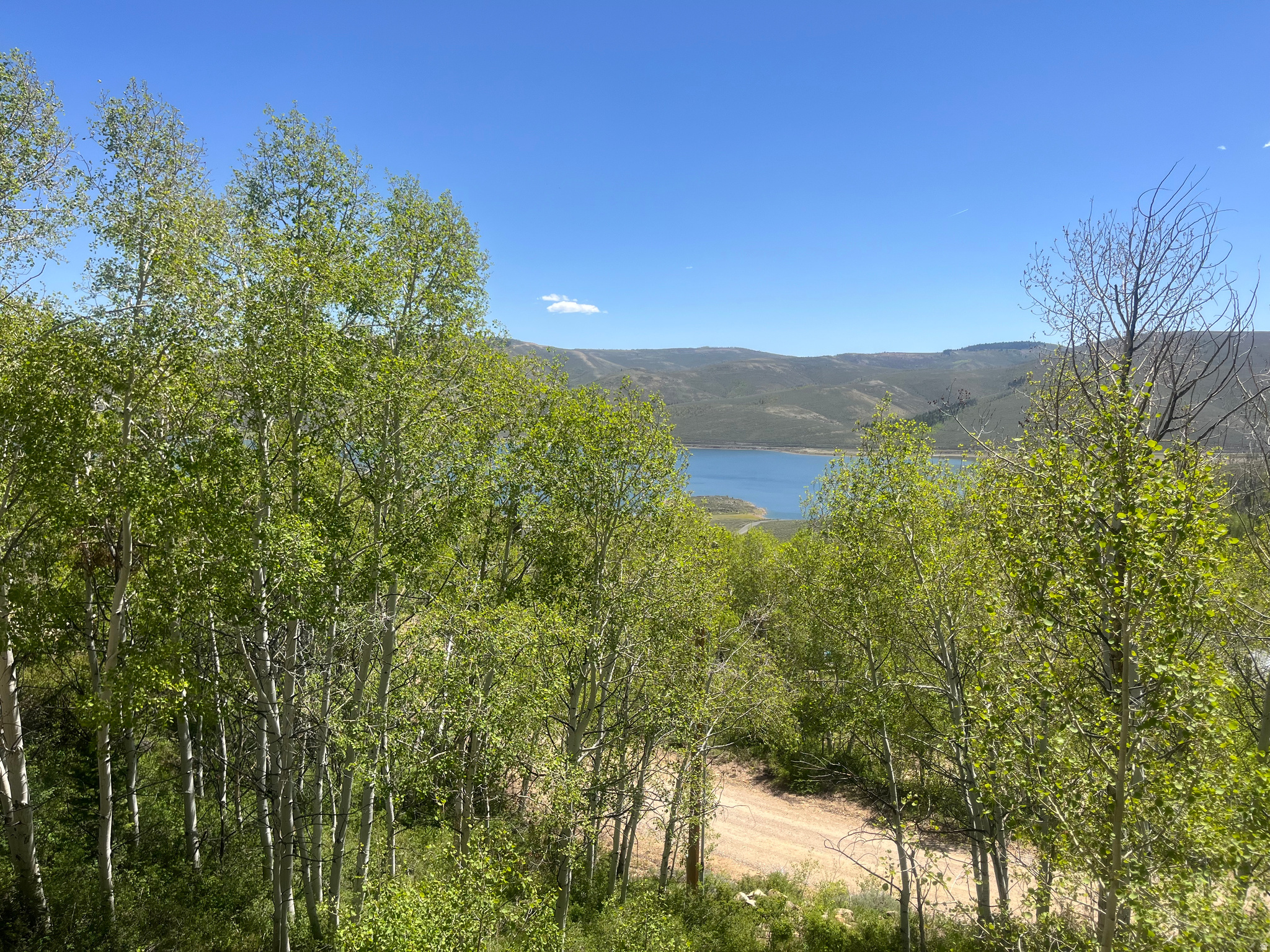 SCOFIELD MOUNTAIN HOMES SUB, ASPEN VIEW ADD - Residential