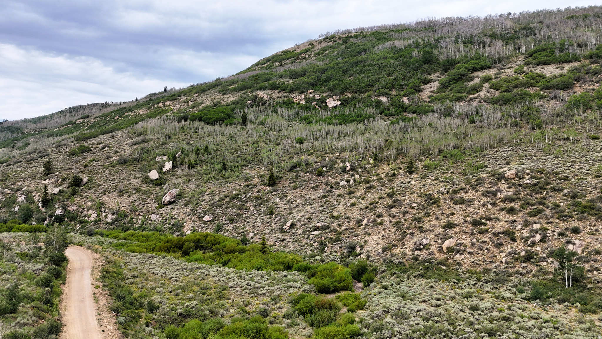 Located in the mountains of Northern Carbon County, this 40-acre recreational property offers a diverse landscape with Beaver Creek forming its eastern boundary along Beaver Creek Road. Elevations range from approximately 7,985 feet to more than 8,615 feet, creating a variety of vegetation, terrain, and wildlife habitat within a single parcel. The lower portion of the property consists of sagebrush flats, native grasses, and willow-lined creek banks adjacent to Beaver Creek. As the terrain rises westward, the landscape transitions into a mix of oak, mountain brush, sage, and native deciduous vegetation, along with scattered pines providing changing scenery and habitat throughout the property. The elevation gain also creates numerous vantage points overlooking the surrounding canyon and mountain landscape. Beaver Creek Road provides access to the property. A locked access gate located approximately five miles down the canyon helps limit public traffic into the area. Reduced vehicle traffic contributes to quieter surroundings and helps maintain road conditions for property owners and authorized users. The property is situated in an area known for its outdoor recreation opportunities. The Lower Fish Creek Wildlife Management Area is located approximately one-quarter mile west of the property boundary, offering public access for fishing and wildlife-related recreation. Anglers can pursue trophy-sized brown trout, rainbow trout, and tiger trout in nearby waters. Less than two miles north, beyond the ridge, the Price River flows through a scenic canyon that follows the historic railroad corridor leading toward Scofield State Park. Ford Creek Waterfall is located to the northeast and is accessible from Highway 6, providing another nearby destination for exploring the surrounding area. The property's central location places several public recreation opportunities within a short drive while still offering the privacy of a mountain setting. Wildlife is abundant throughout the area. Mule deer and elk regularly travel through the property, while predators, upland birds, songbirds, and a variety of small game species also utilize the surrounding habitat. According to the current owners, the property has been used primarily as a recreational retreat and for seasonal hunting. The combination of a seasonal creek, varied vegetation, and nearby public lands creates a favorable habitat for many wildlife species commonly found in central Utah. The property's terrain supports a variety of outdoor activities throughout much of the year. Opportunities include hunting, fishing, hiking, wildlife viewing, horseback riding, mountain biking, camping, picnicking, and OHV riding on designated routes in the surrounding area. Beaver Creek adds a natural feature that enhances the property's character while supporting riparian vegetation and wildlife movement through the canyon. This parcel offers a combination of elevation diversity, mountain vegetation, and proximity to public recreation areas. Whether used as a seasonal basecamp, a private recreational retreat, or a property to enjoy Utah's mountain landscape, the acreage provides a range of possibilities while remaining surrounded by some of central Utah's well-known outdoor destinations.