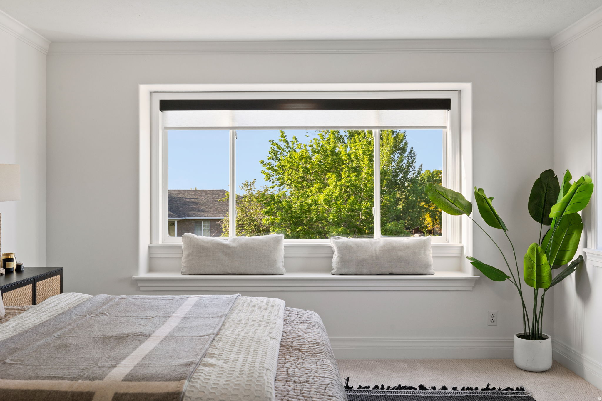 COUNTRY CLASSIC ESTATES - Residential
