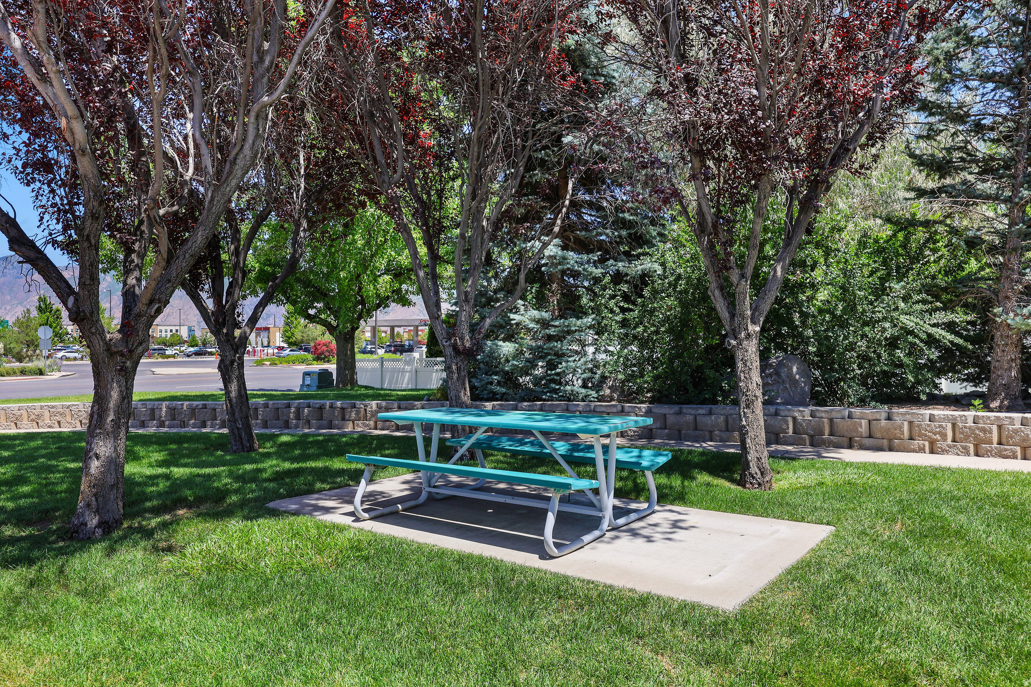 PARK VIEW TERRACE CONDO - Residential
