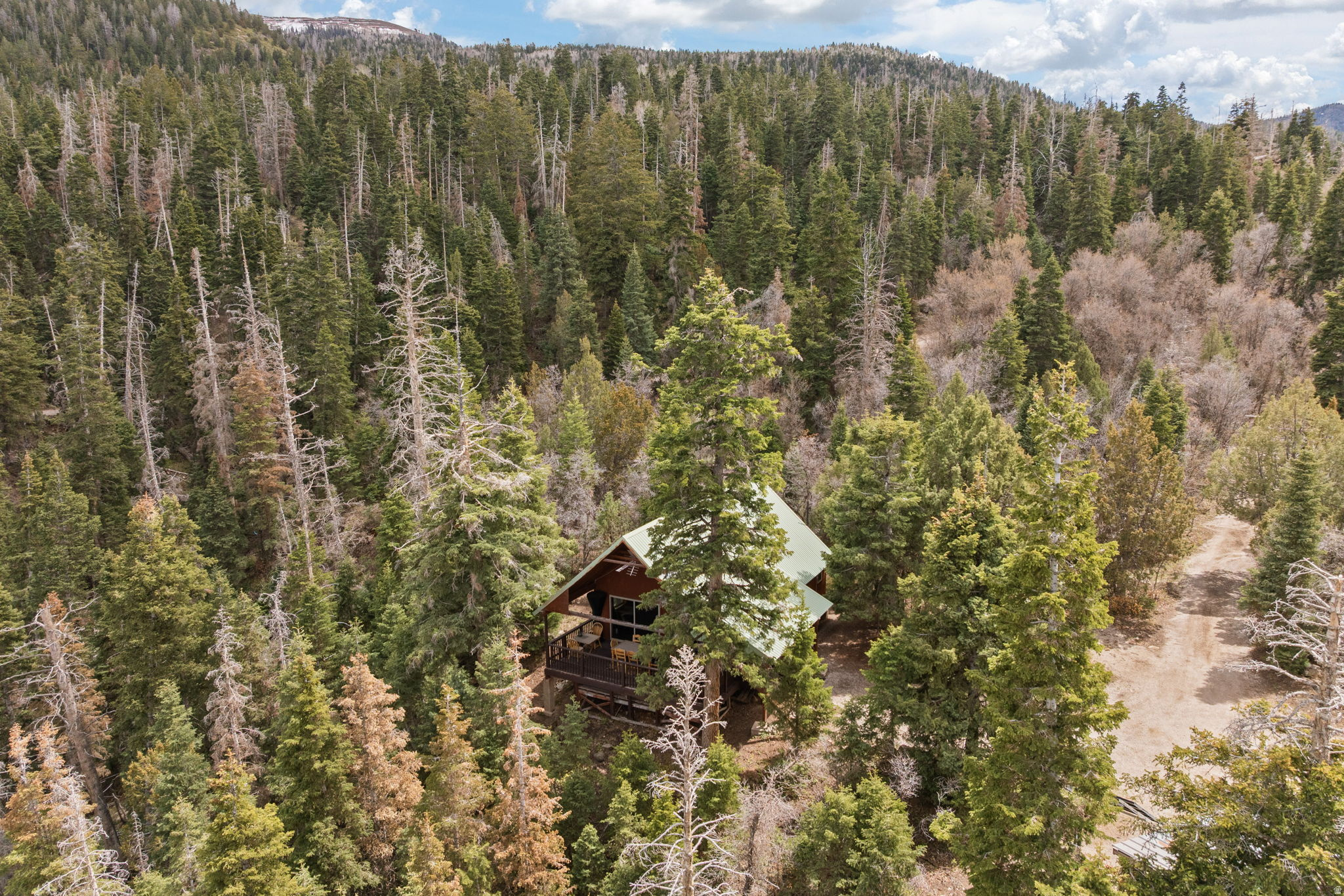 SPRING CITY RANCHEROS - Residential