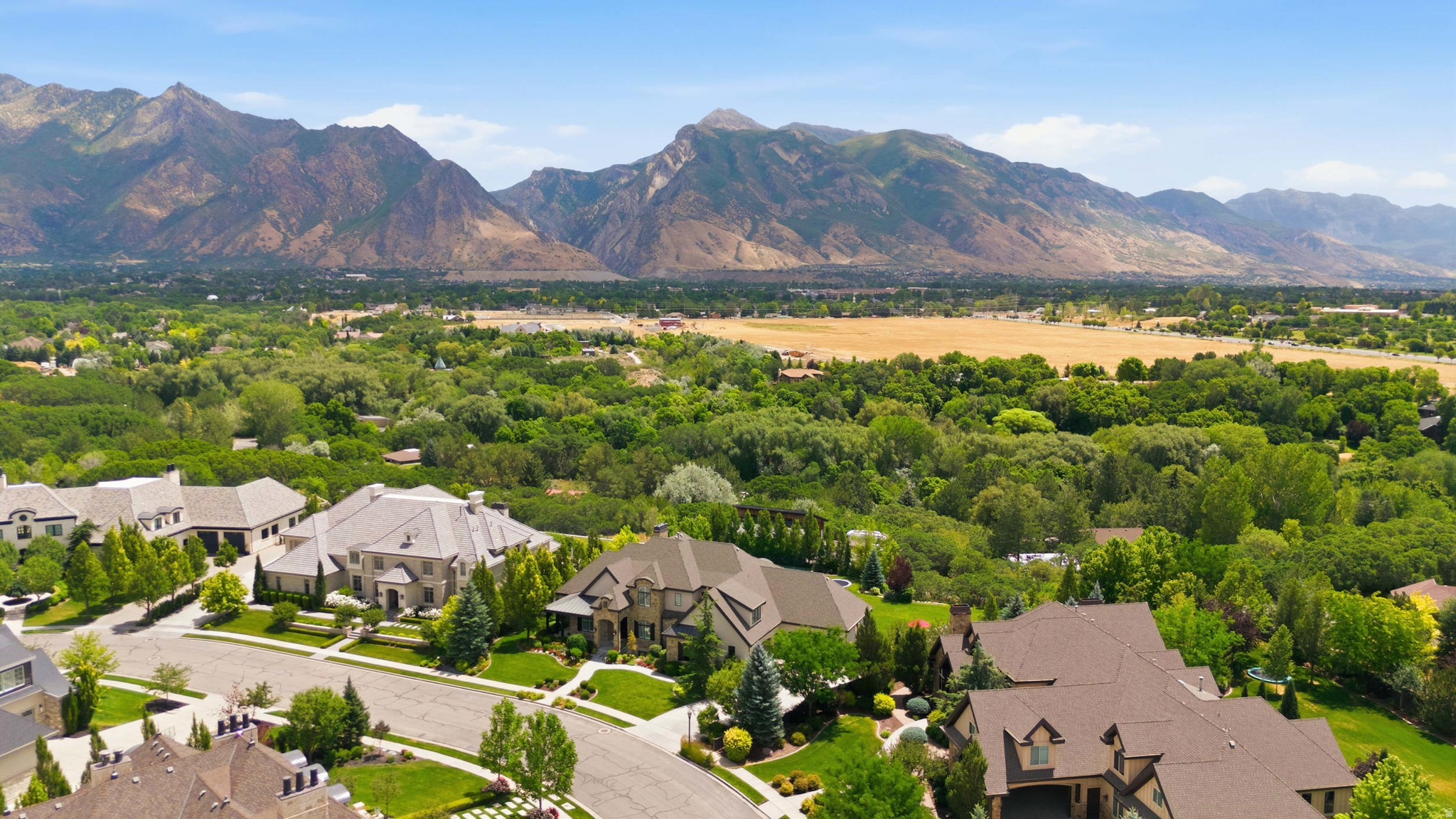 COUNTRY FRENCH ESTATES - Residential