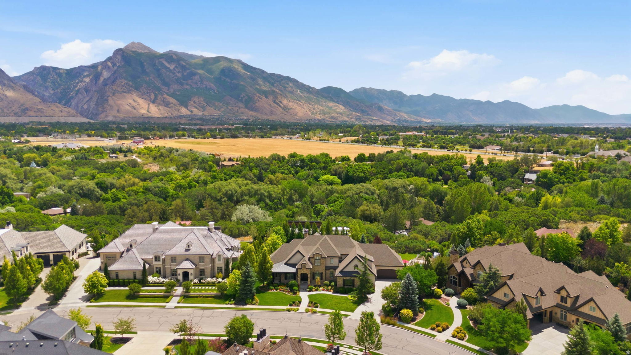 COUNTRY FRENCH ESTATES - Residential