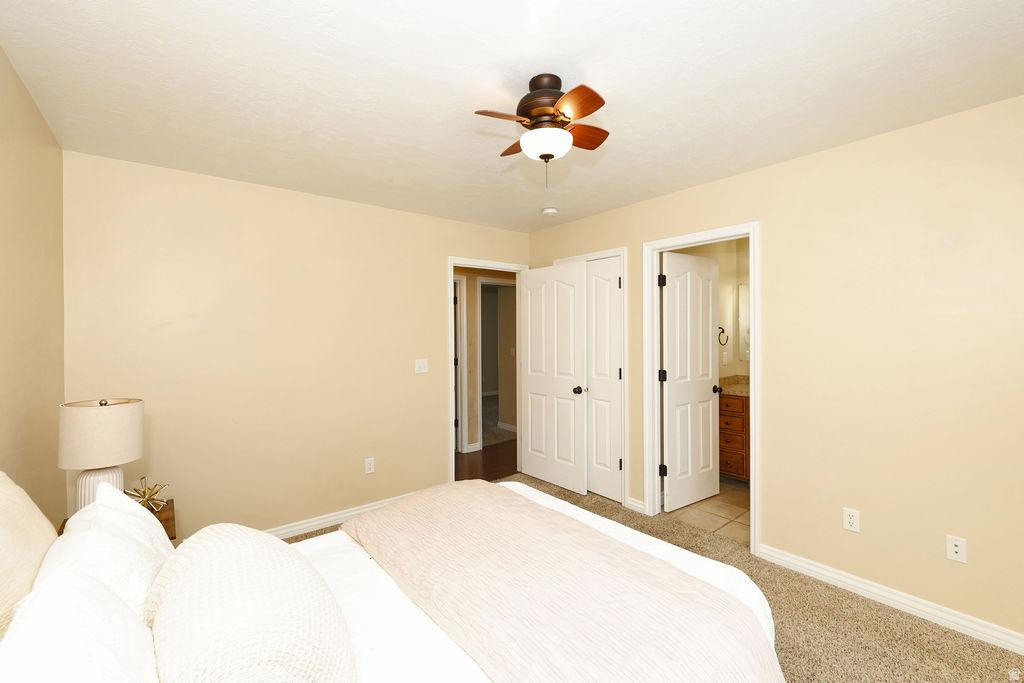 MILLS HEIGHTS - Residential