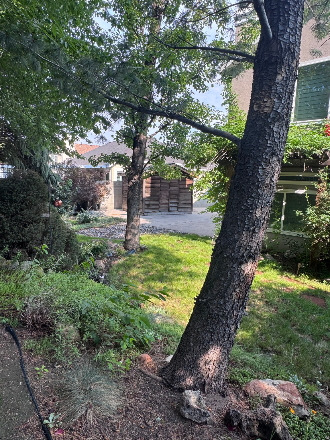MEADOWS - Residential