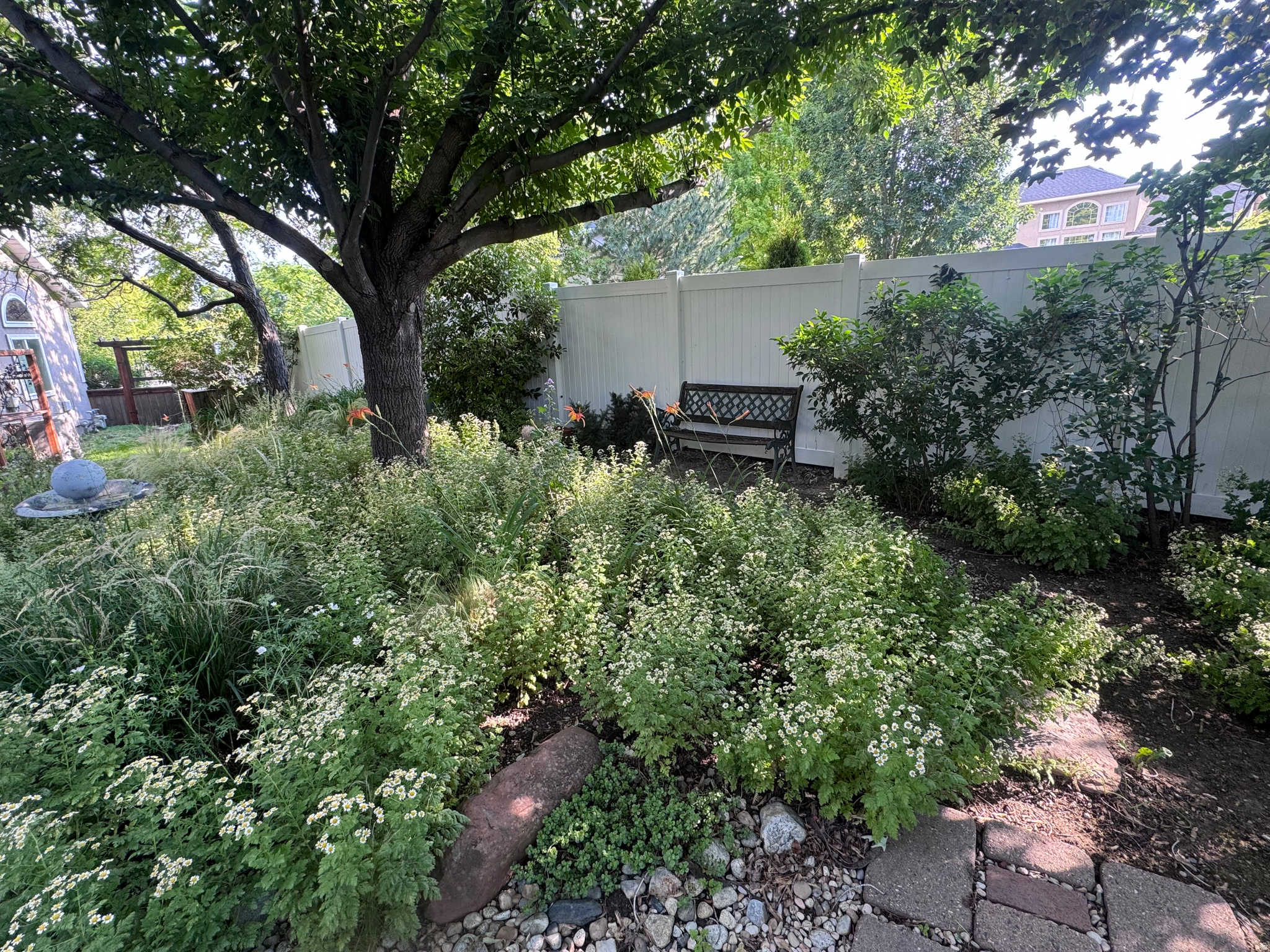 MEADOWS - Residential