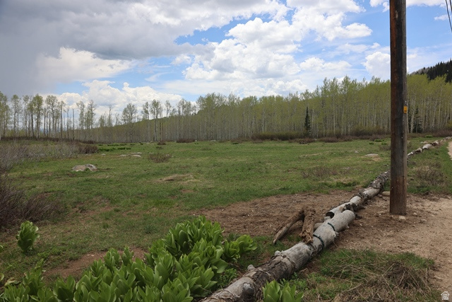 Enjoy the tranquil beauty of this partially wooded lot in Midway, Utah, Brighton Estates Subdivision 1, (with no HOA / no CCRs) offering one of the most spectacular and peaceful mountain settings available in the greater Park City area. Explore nearby trails, stunning views, and no light pollution.  The lot is flat and partly cleared.  Tucked in the hills of Midway, just below Guardsman Pass, minutes away from Wasatch Mountain State Park, WOW Trail, Bonanza Flat, Brighton Resort, Deer Valley, and Park City.  Ideal recreational use for the outdoor enthusiast  with activities such as biking, hiking, snowmobiling, & backcountry skiing.  Property is SEASONAL as driving access through Guardsman Pass, (from Big Cottonwood Canyon) & Pine Canyon Rd, (from Park City or Midway) is closed fall to spring when roads are unplowed.  Property has no water nor septic.  Failed perc test in 2007.  Must have water to build.  Adjacent lot 41 is also for sale.  See attached plat map.  (The road is Larkspur but the map incorrectly reflects Lakespur.)  All information herein is deemed reliable but not guaranteed. Buyer is responsible for verifying all listing information.