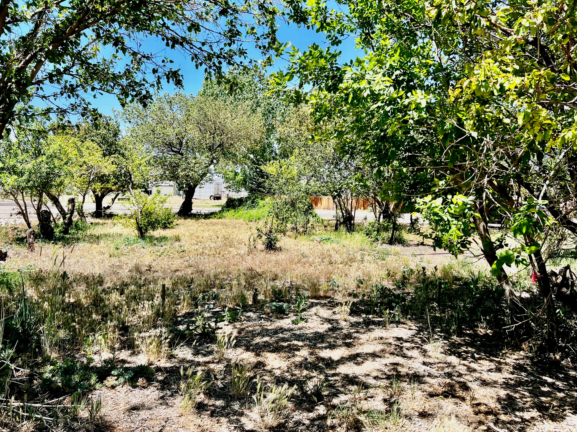 SUNSET VIEW ESTATES - Residential