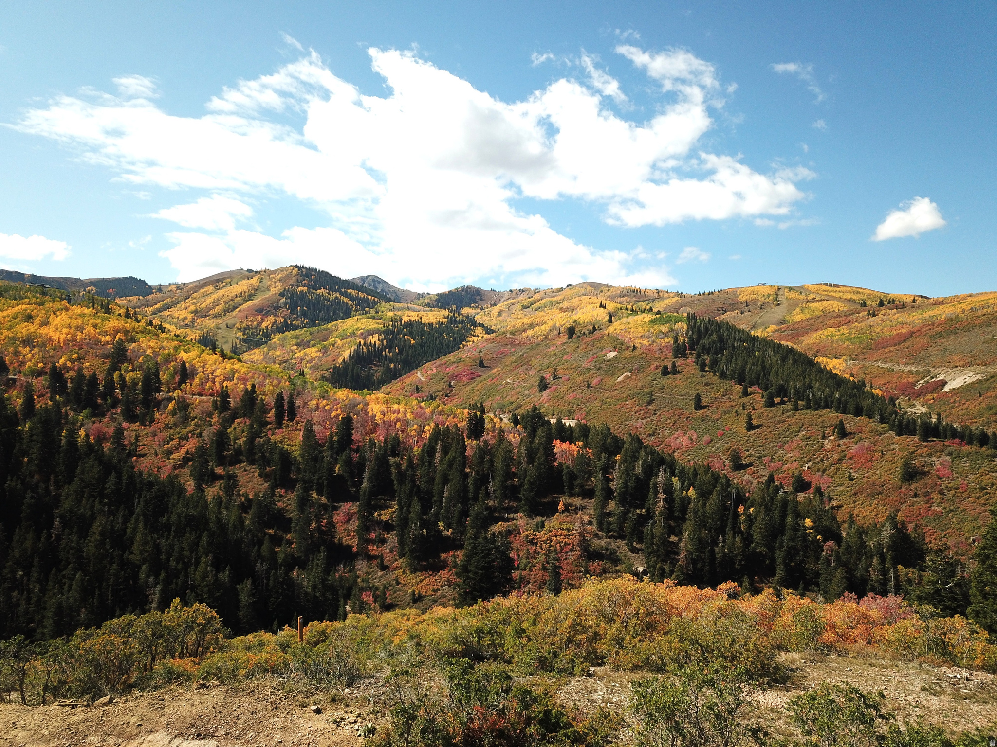 HUNTSMAN ESTATES - Land