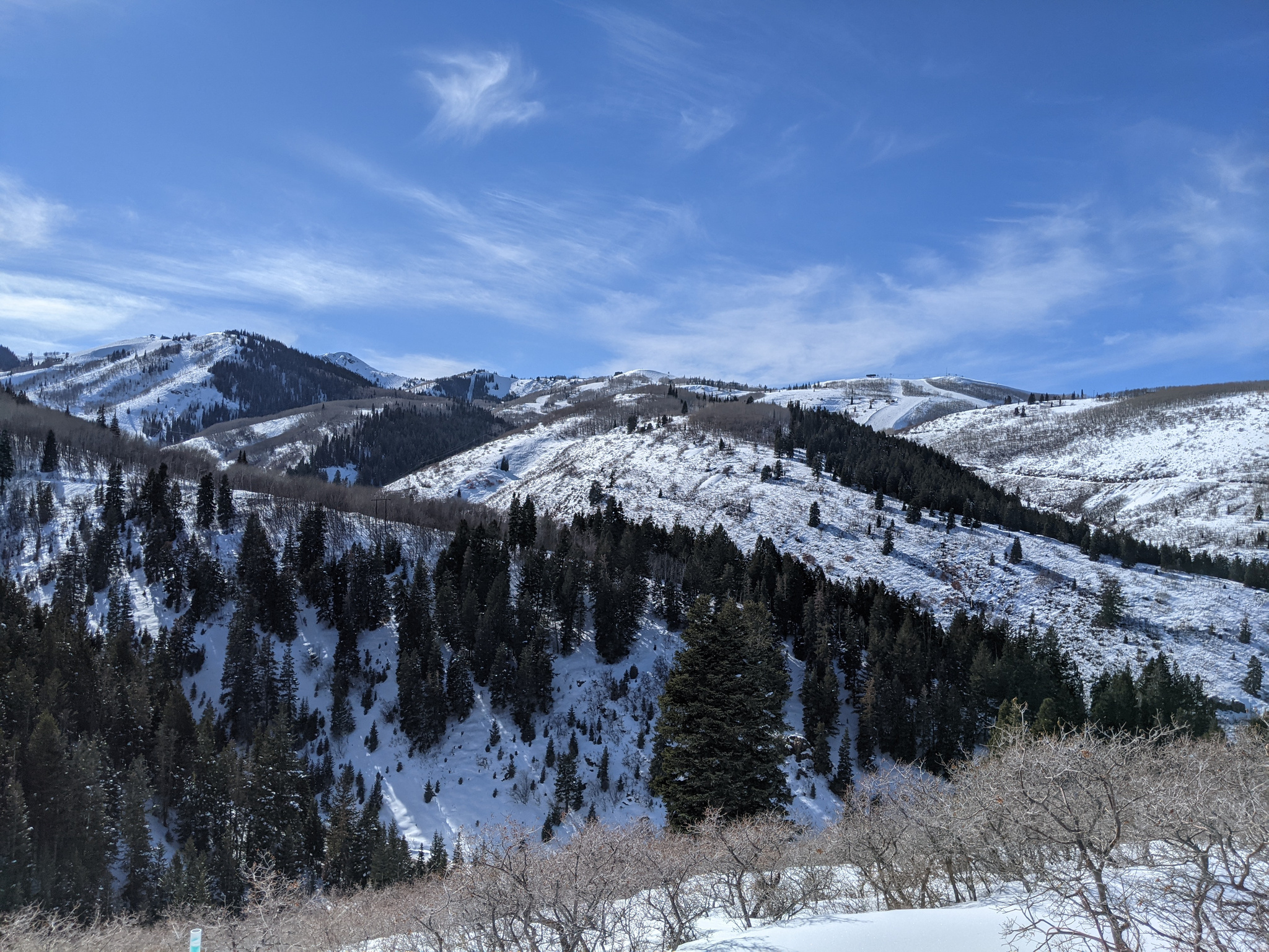 HUNTSMAN ESTATES - Land