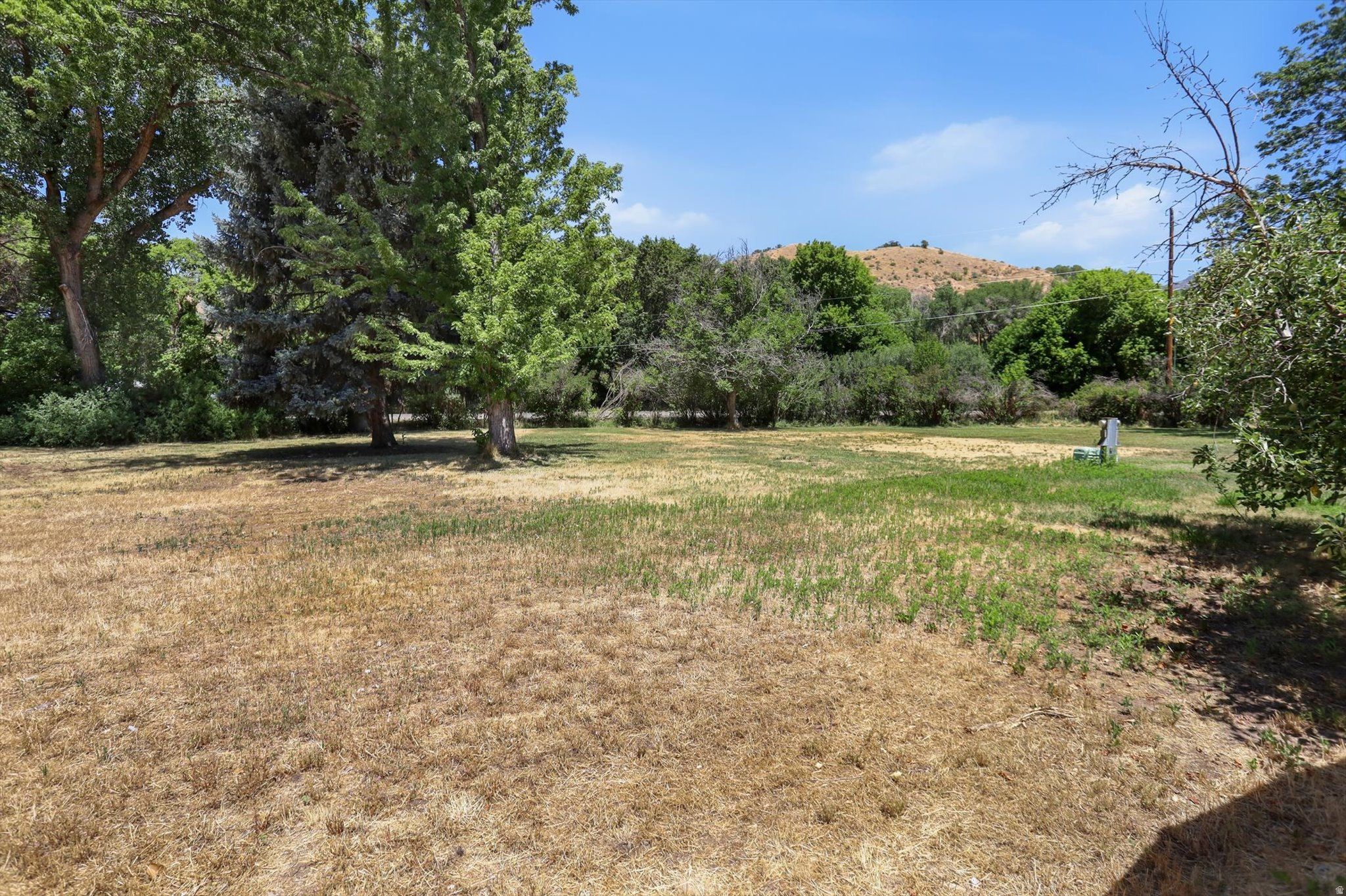 COTTONWOOD - Residential