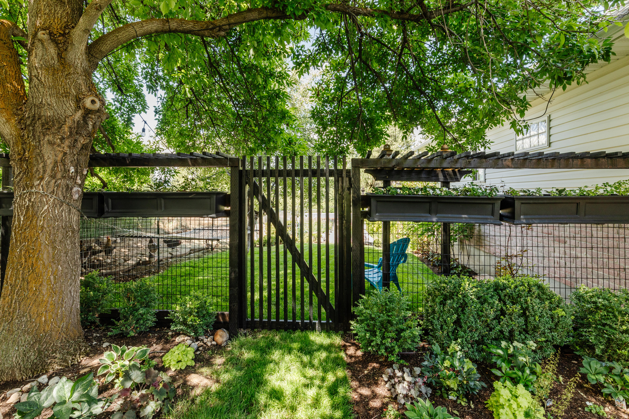 CANYON VIEW ESTATES - Residential