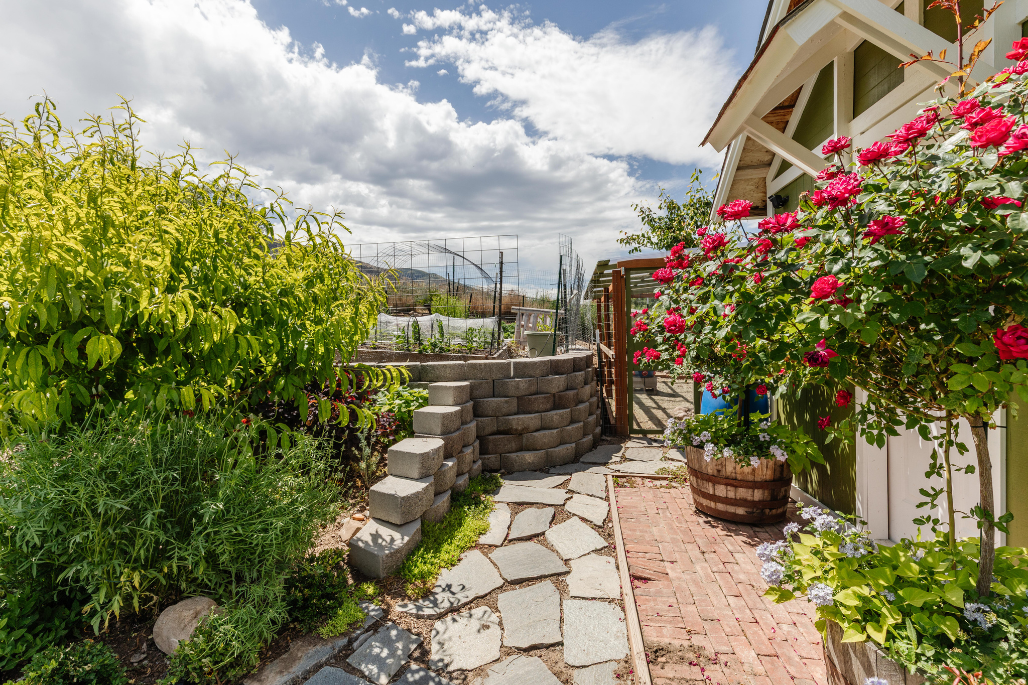 CANYON VIEW ESTATES - Residential