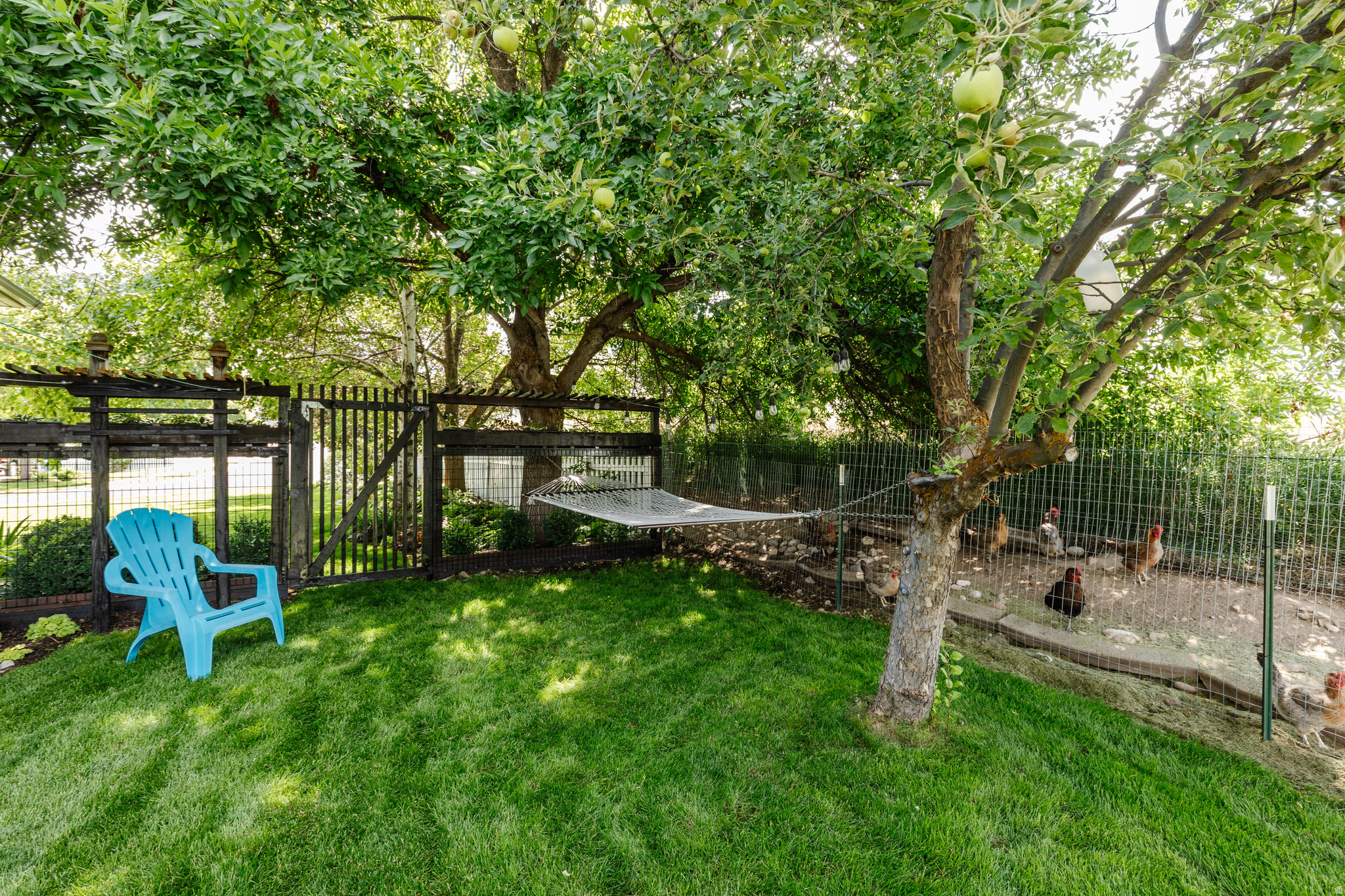 CANYON VIEW ESTATES - Residential