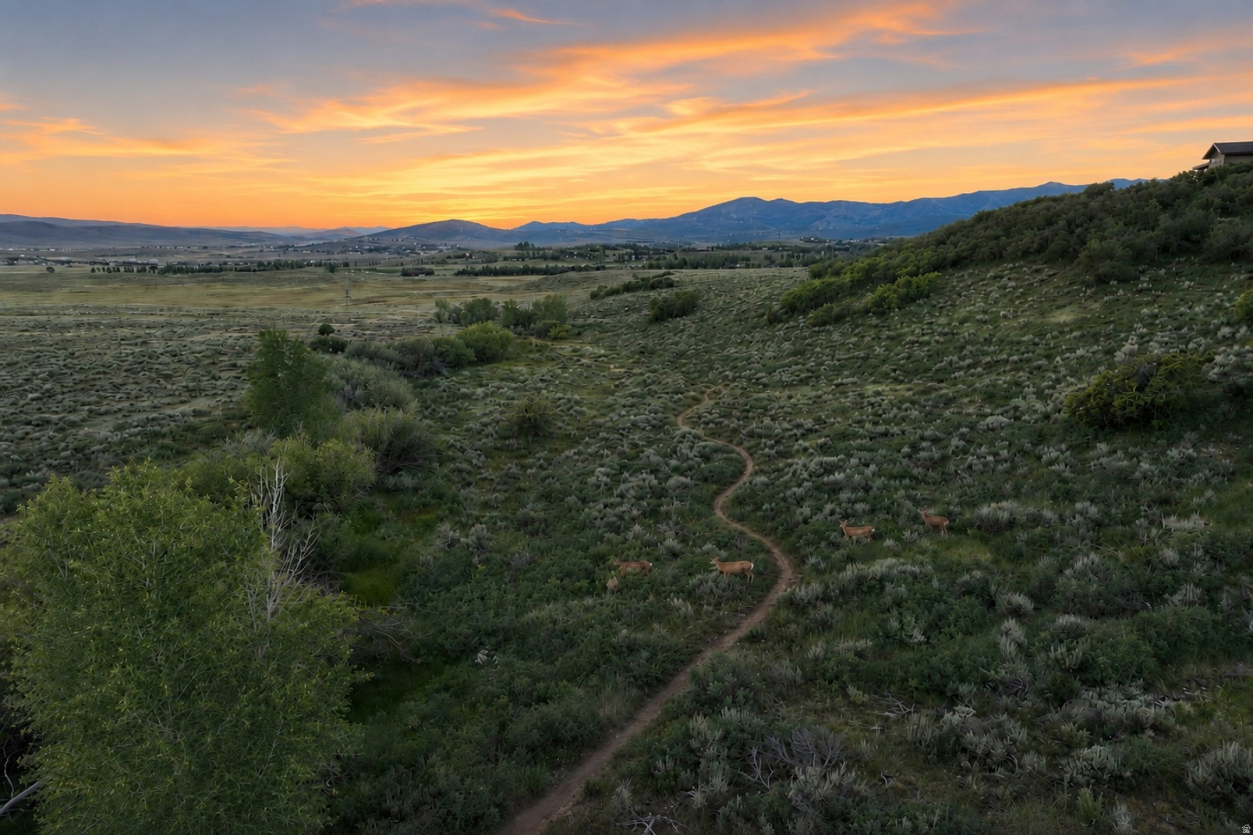 PRESERVE PHASE 1 SUBDIVISION - Land