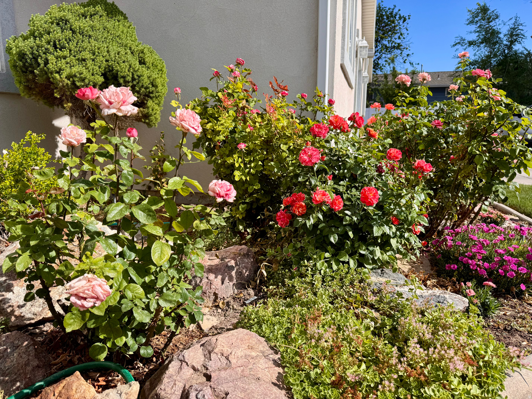 TOPAZ TOWNHOMES - Residential