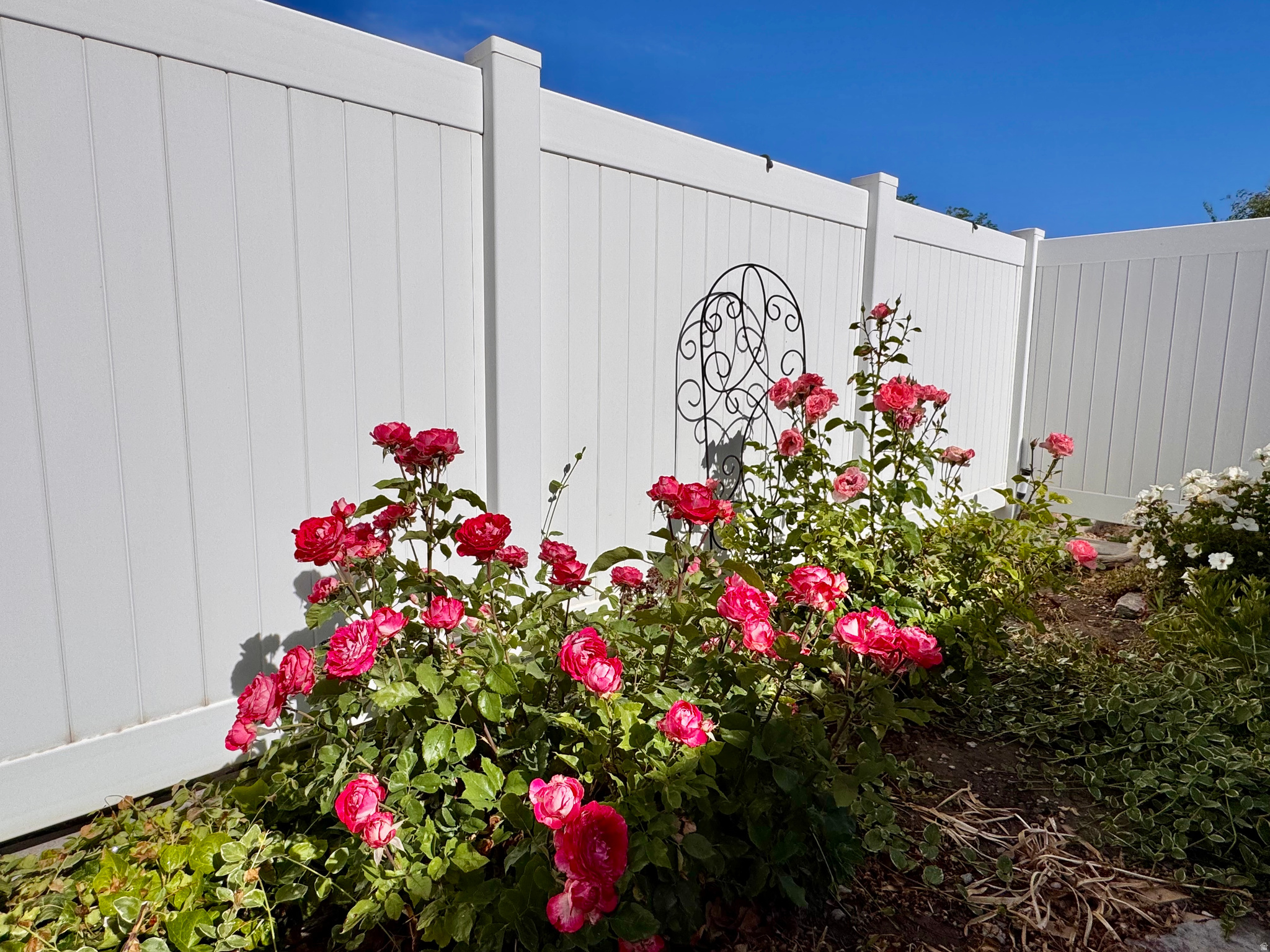 TOPAZ TOWNHOMES - Residential