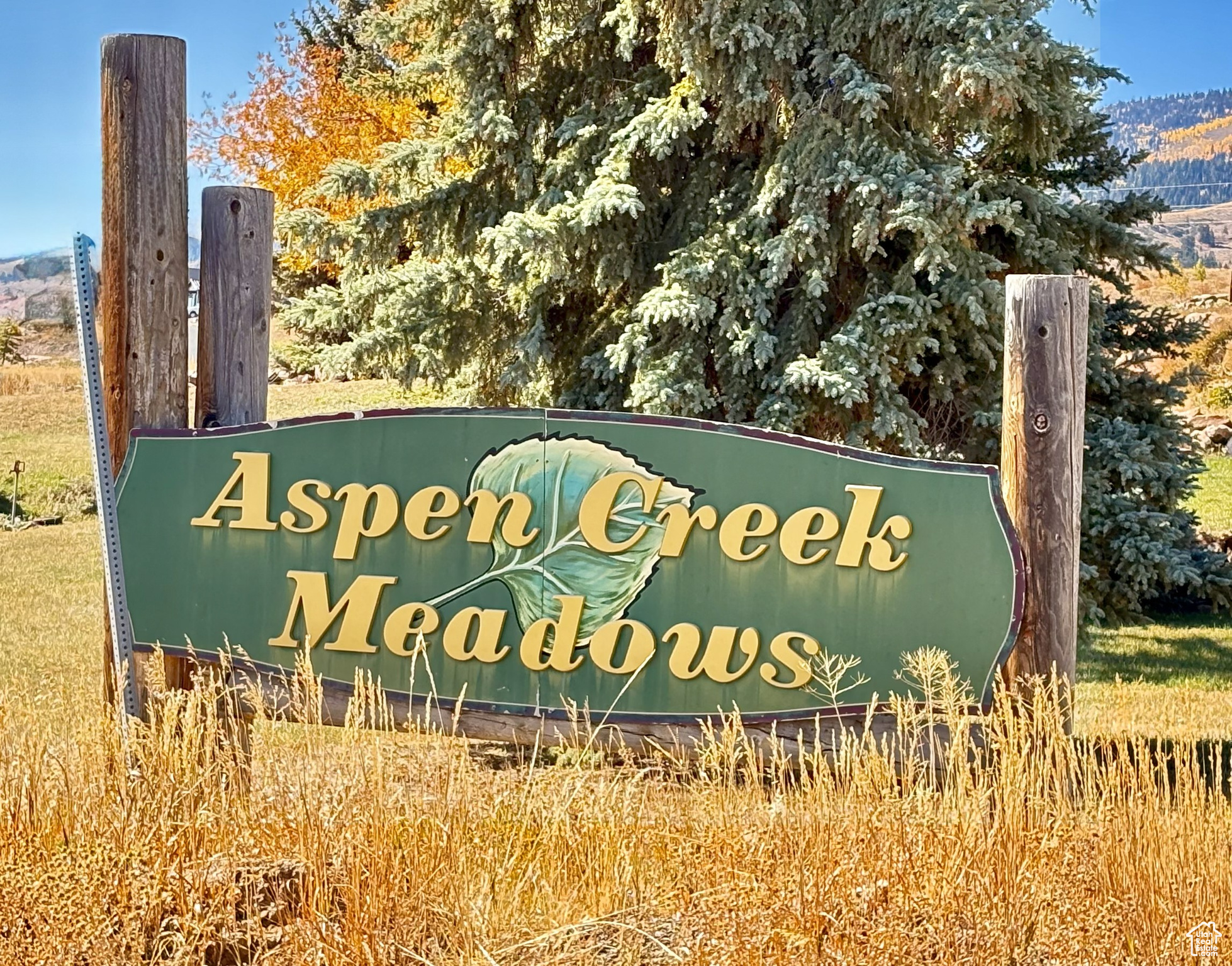 Short term Rentals allowed  Stunning 0.79-Acre Lot with Panoramic Lake & Mountain Views overlooking Bear Lake.  Location: Aspen Creek Meadows, off Loveland Lane, Fish Haven, Idaho  Breathtaking Views  Nearly the entire lake & surrounding mountains.  Build-Ready  Residential zoning with water, sewer, and power stubbed to the lot.  Private & Peaceful  Located on a cul-de-sac  Beach Access  Includes Aspen Creek Meadows Beach Front access for homeowners.  Prime Location  Close to Bear Lake's recreation, hiking, and outdoor activities.